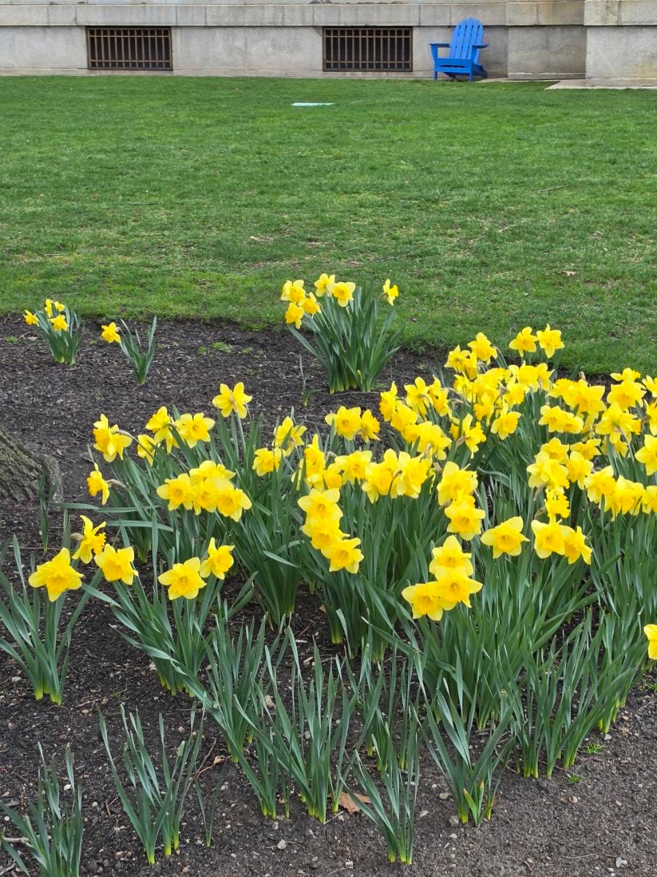 ก้อย - อรัชพร โภคินภากร