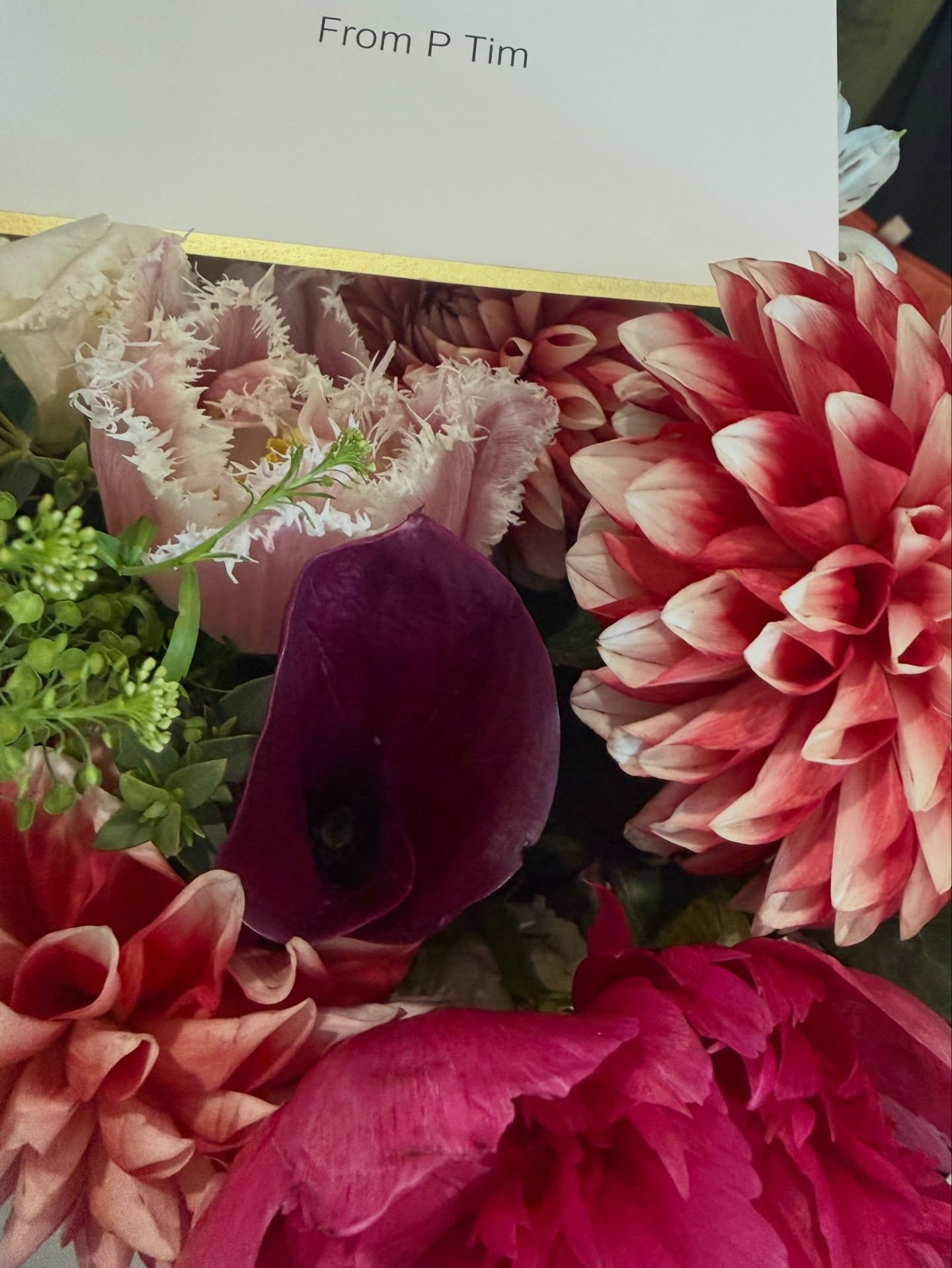 ก้อย - อรัชพร โภคินภากร