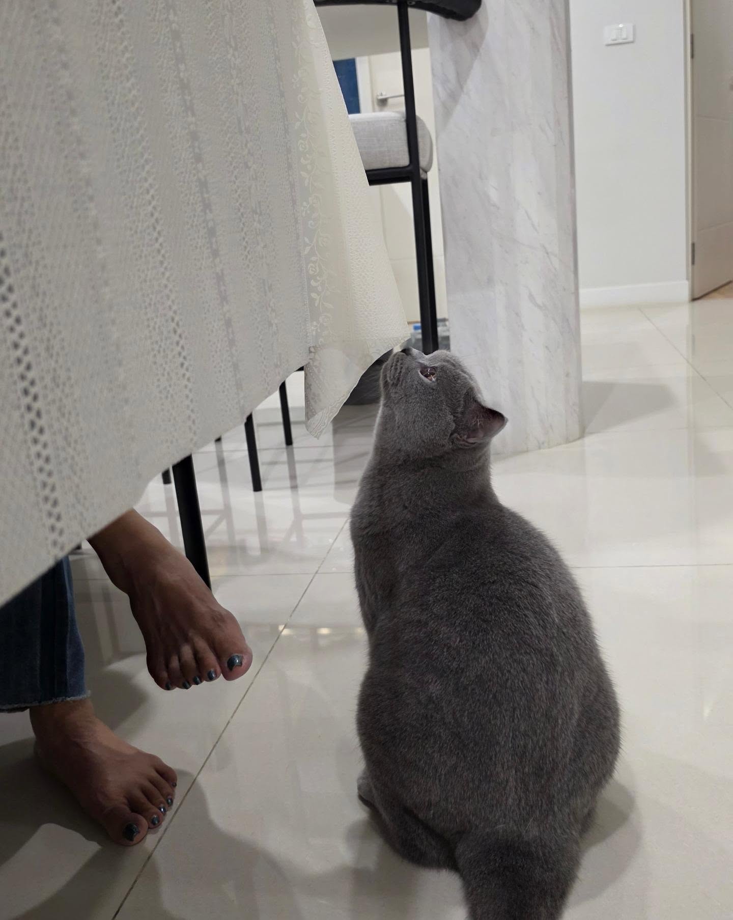 ก้อย - อรัชพร โภคินภากร