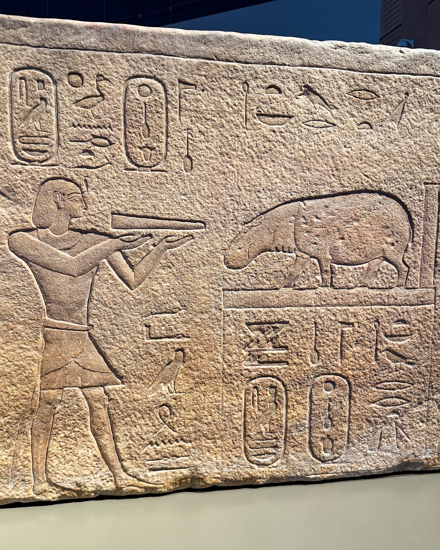 เบเบ้ - ธันย์ชนก ฤทธินาคา