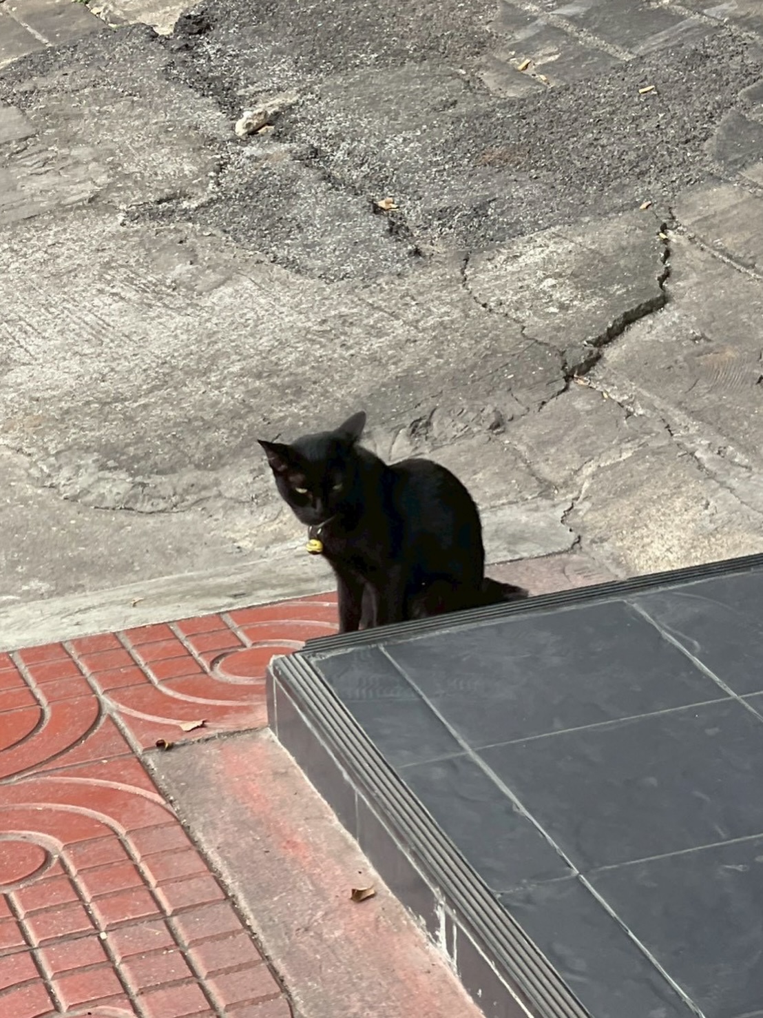 น้ำปิง - นภัสกร ปิงเมือง