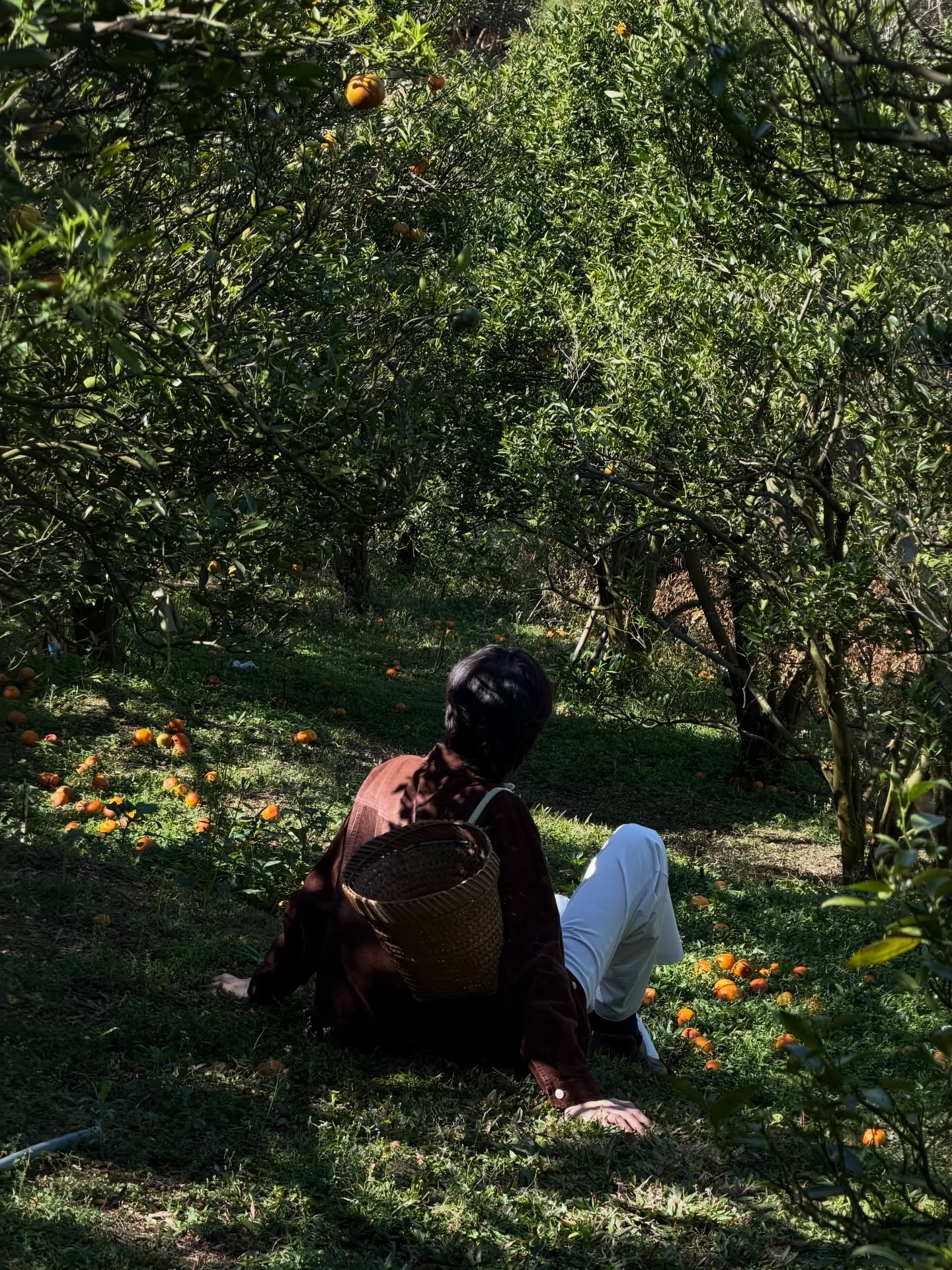 น้ำปิง - นภัสกร ปิงเมือง