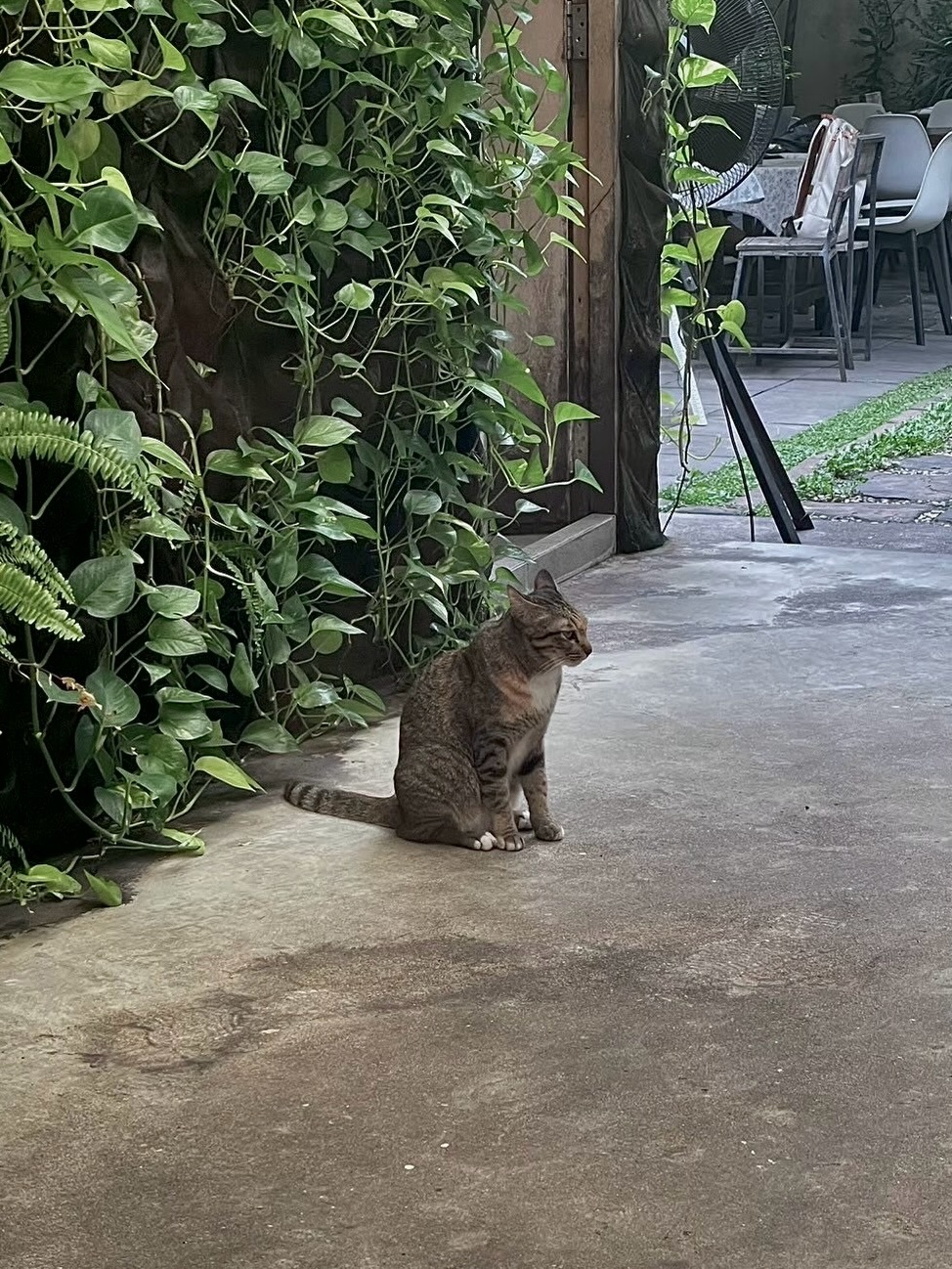 น้ำปิง - นภัสกร ปิงเมือง