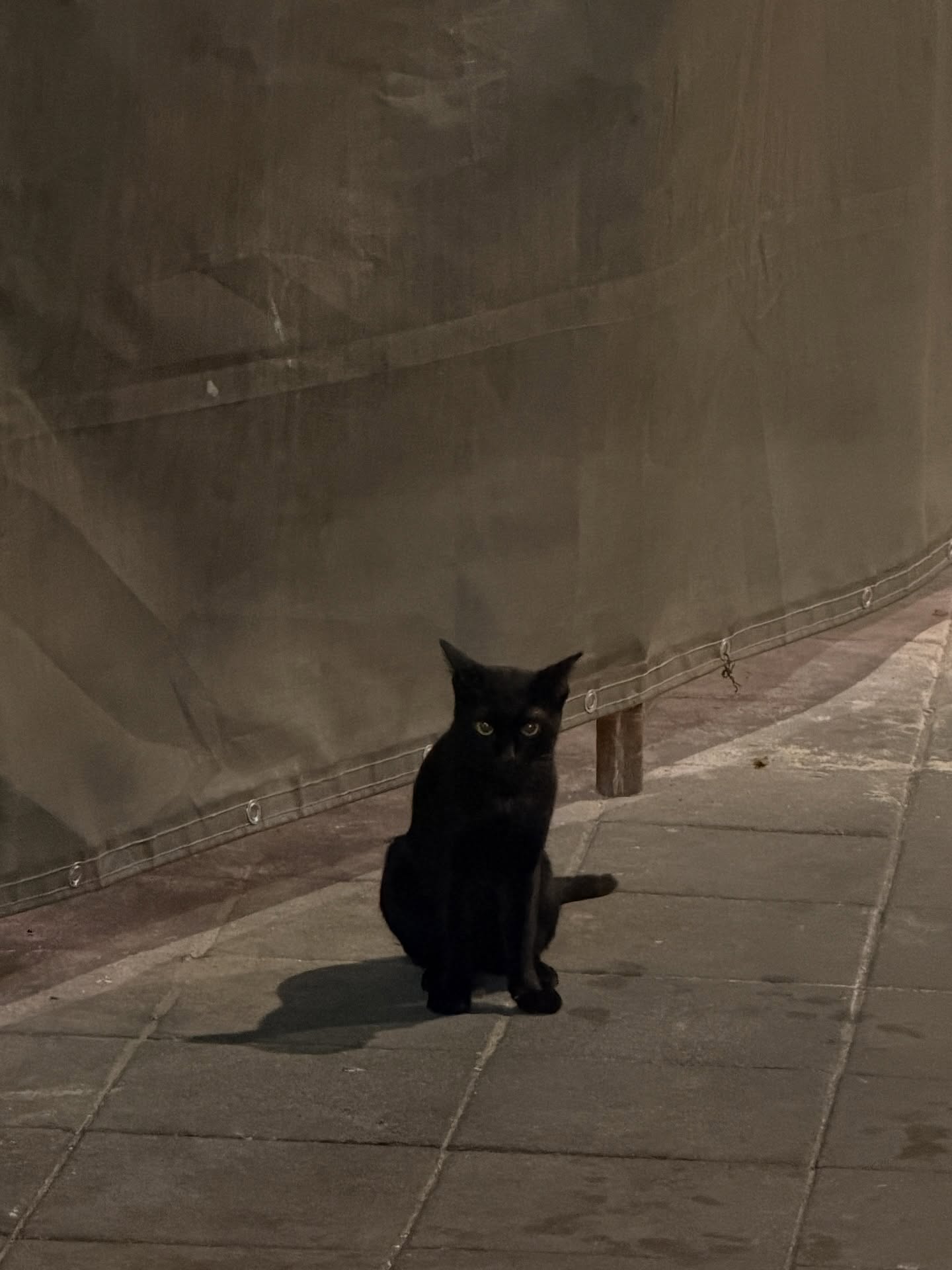 น้ำปิง - นภัสกร ปิงเมือง