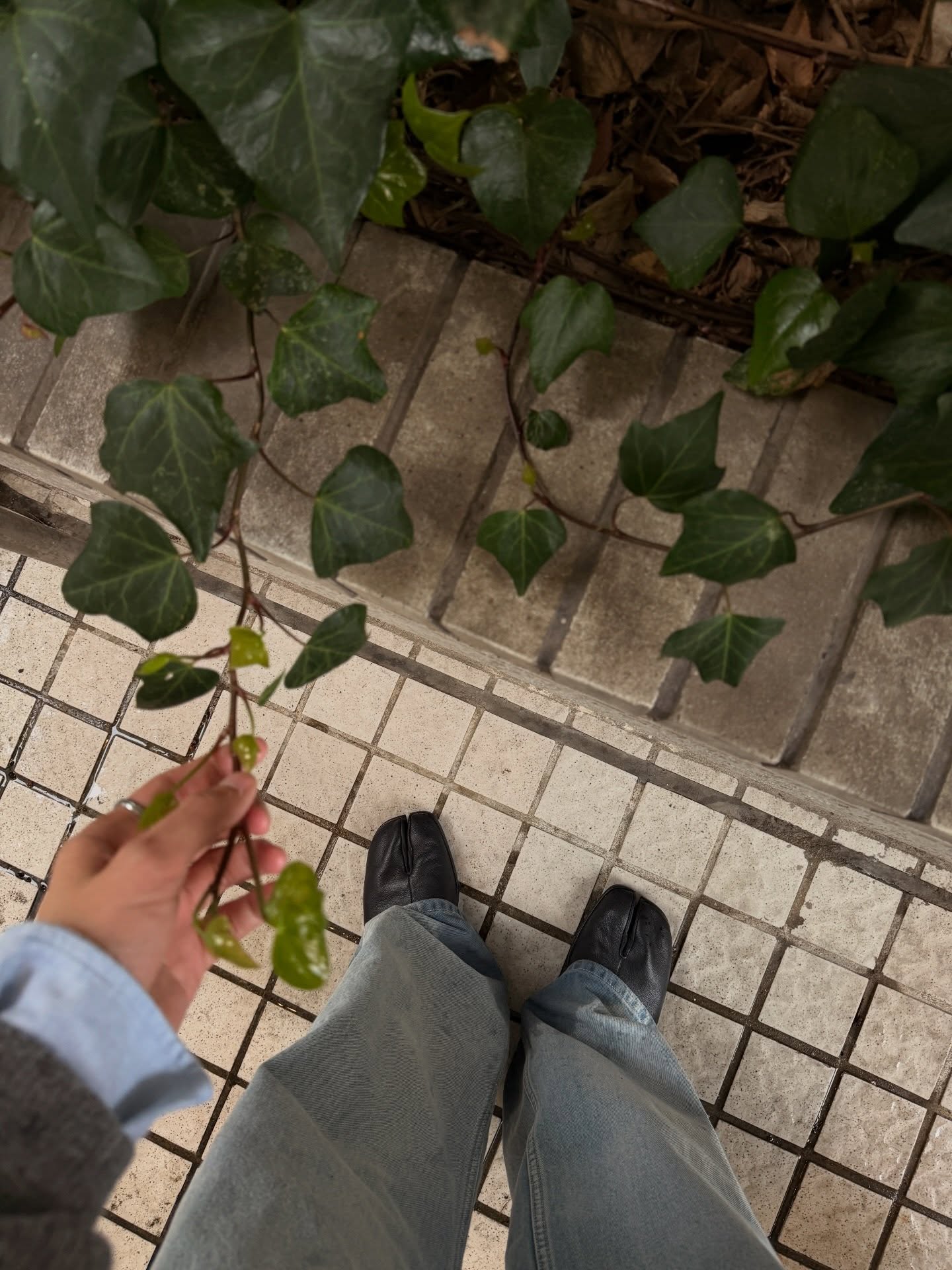 น้ำปิง - นภัสกร ปิงเมือง