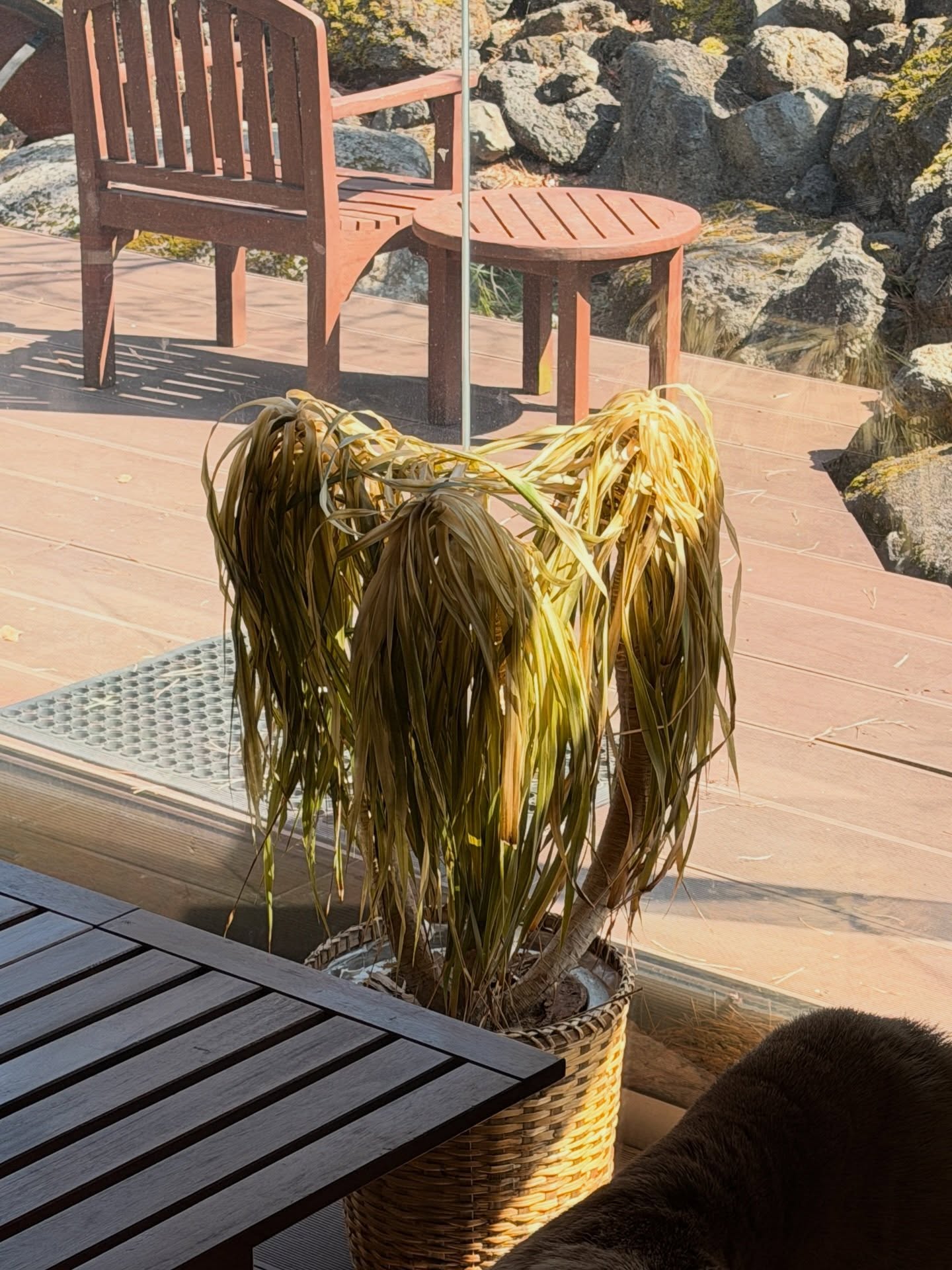 น้ำปิง - นภัสกร ปิงเมือง