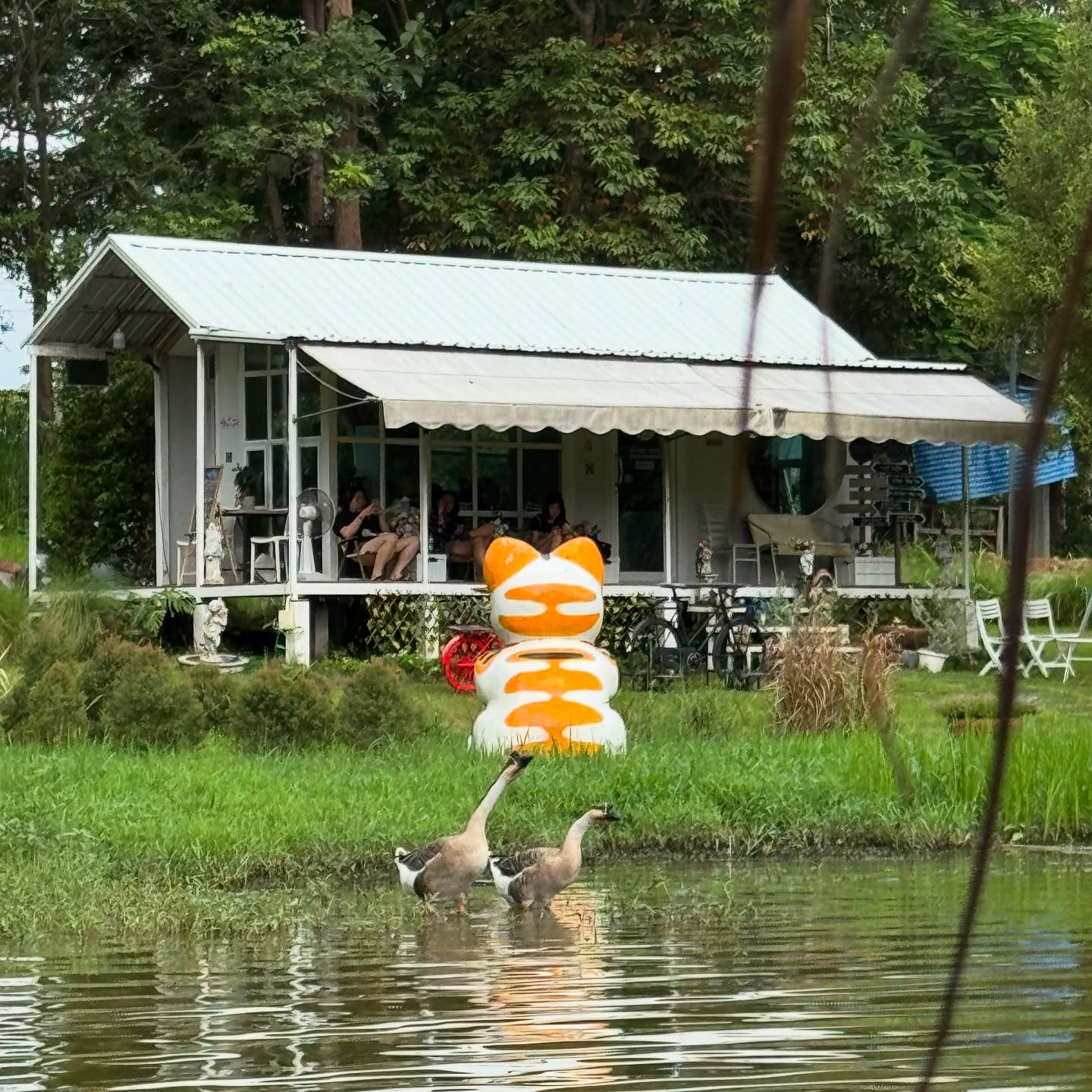 ซูซี่ - สุษิรา แอนจิลีน่า แน่นหนา
