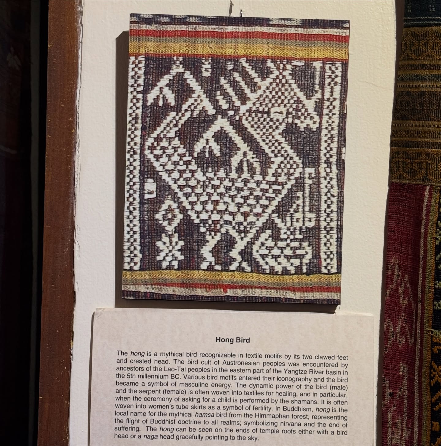 ซูซี่ - สุษิรา แอนจิลีน่า แน่นหนา