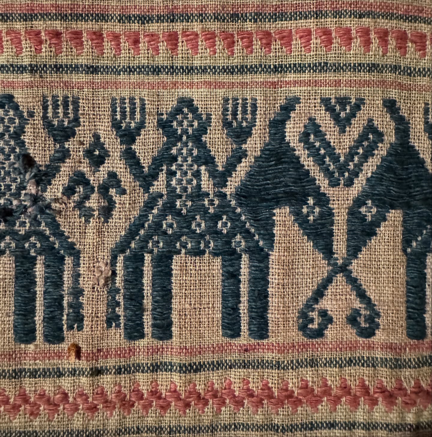 ซูซี่ - สุษิรา แอนจิลีน่า แน่นหนา