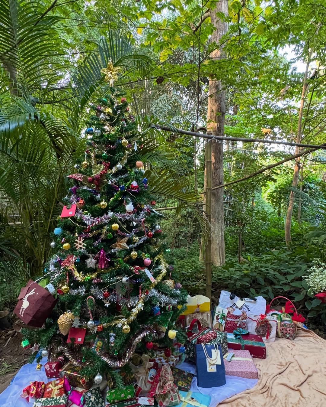 ซูซี่ - สุษิรา แอนจิลีน่า แน่นหนา