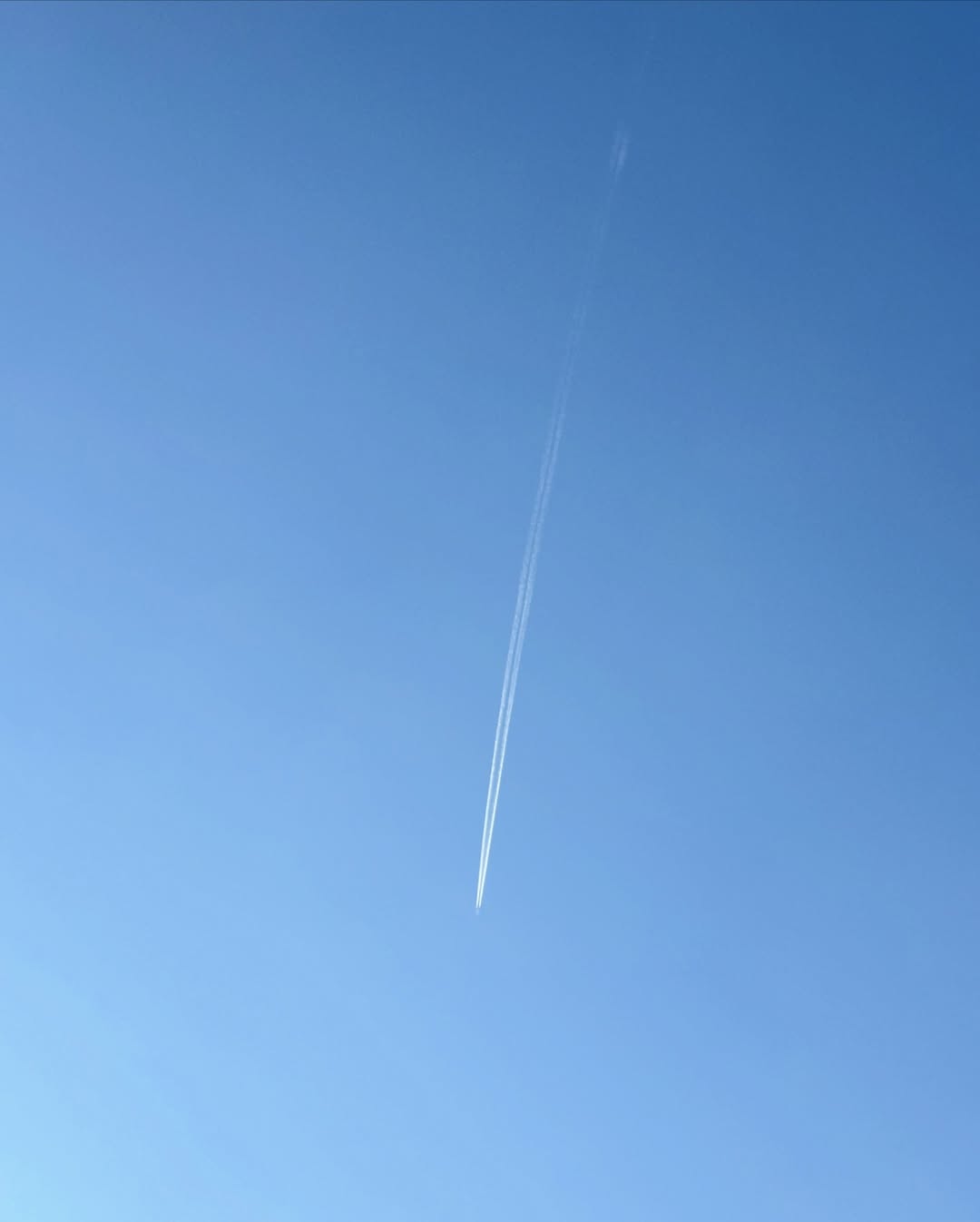 ซูซี่ - สุษิรา แอนจิลีน่า แน่นหนา