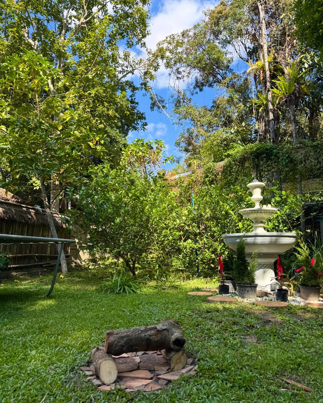 ซูซี่ - สุษิรา แอนจิลีน่า แน่นหนา