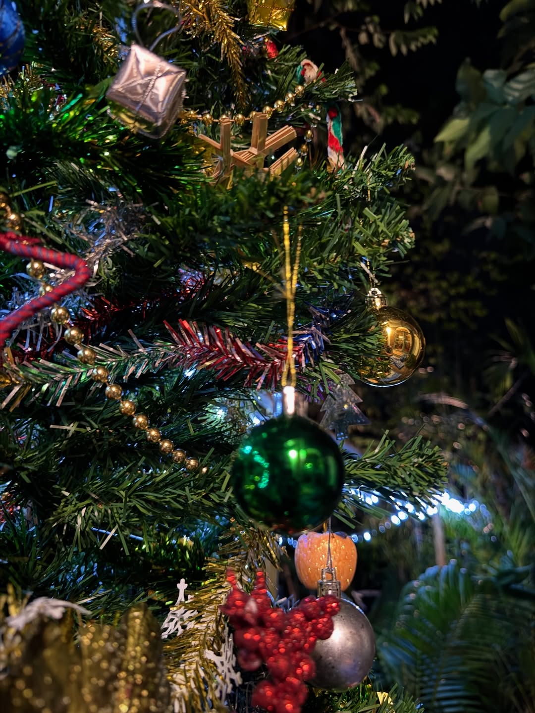 ซูซี่ - สุษิรา แอนจิลีน่า แน่นหนา