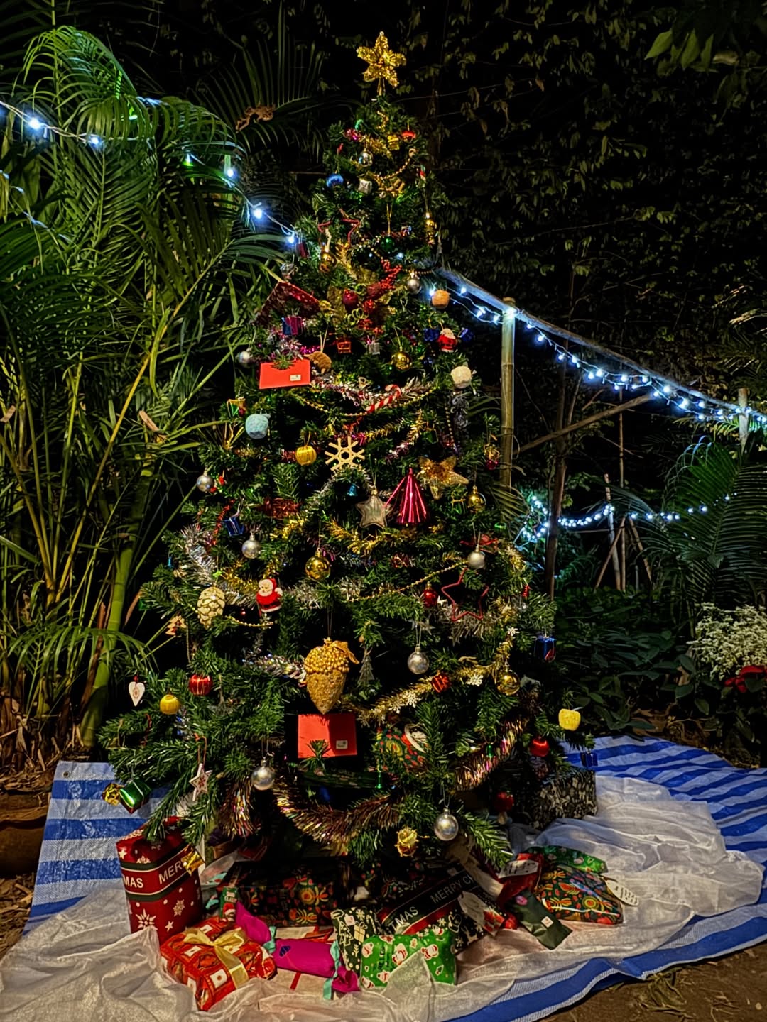 ซูซี่ - สุษิรา แอนจิลีน่า แน่นหนา