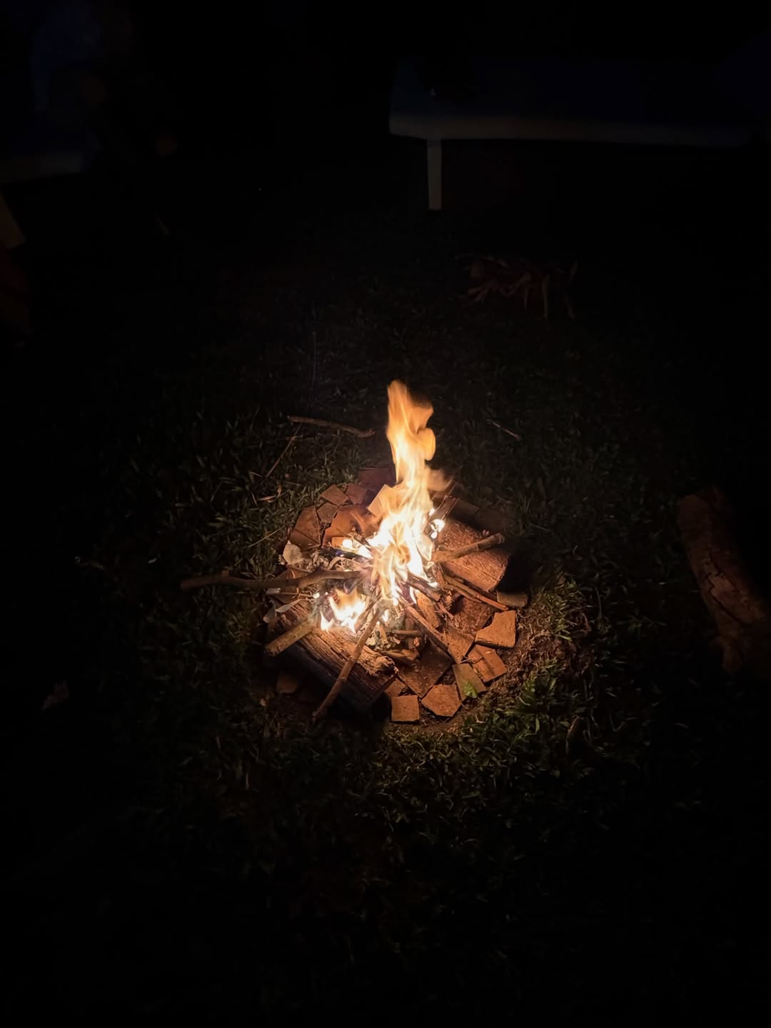 ซูซี่ - สุษิรา แอนจิลีน่า แน่นหนา