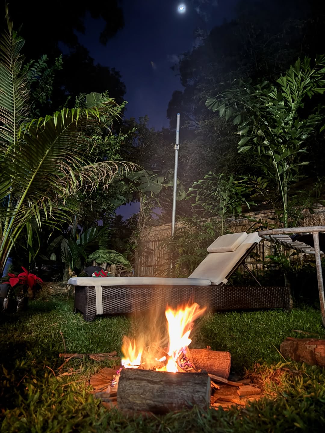 ซูซี่ - สุษิรา แอนจิลีน่า แน่นหนา