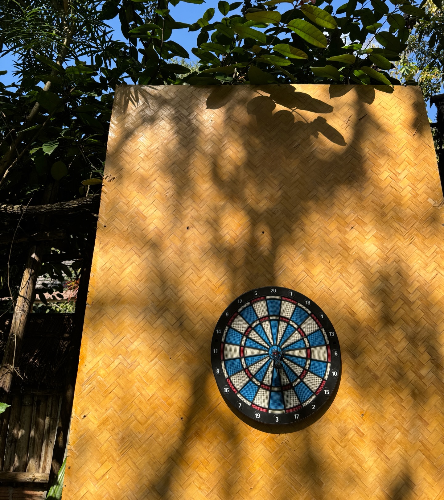 ซูซี่ - สุษิรา แอนจิลีน่า แน่นหนา