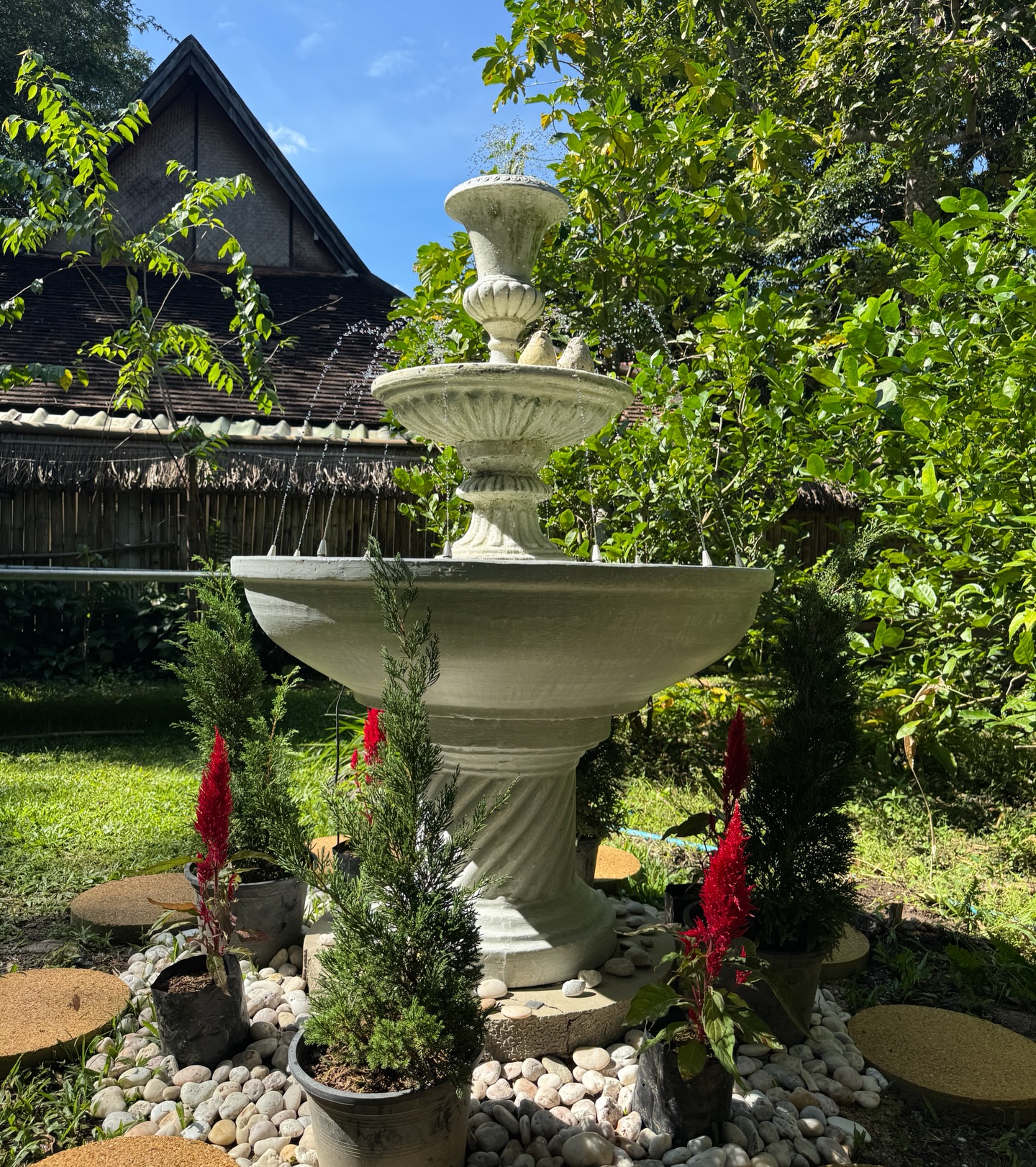 ซูซี่ - สุษิรา แอนจิลีน่า แน่นหนา