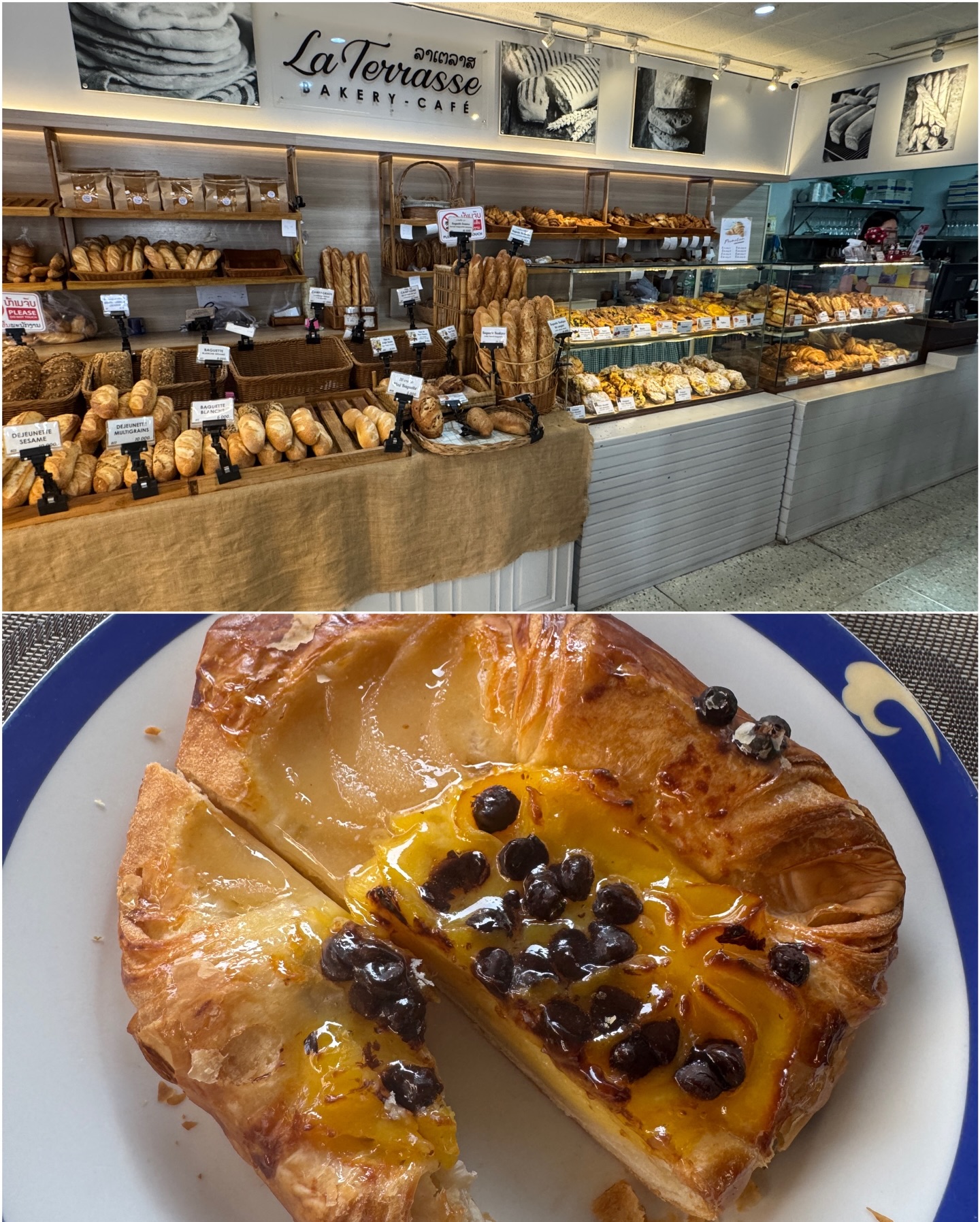 ซูซี่ - สุษิรา แอนจิลีน่า แน่นหนา