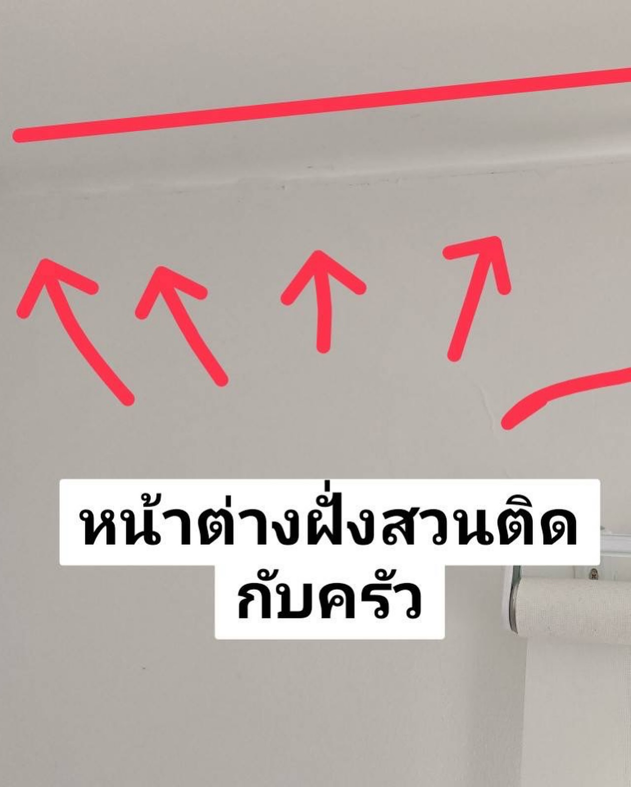 อ้วน - รังสิต ศิรนานนท์