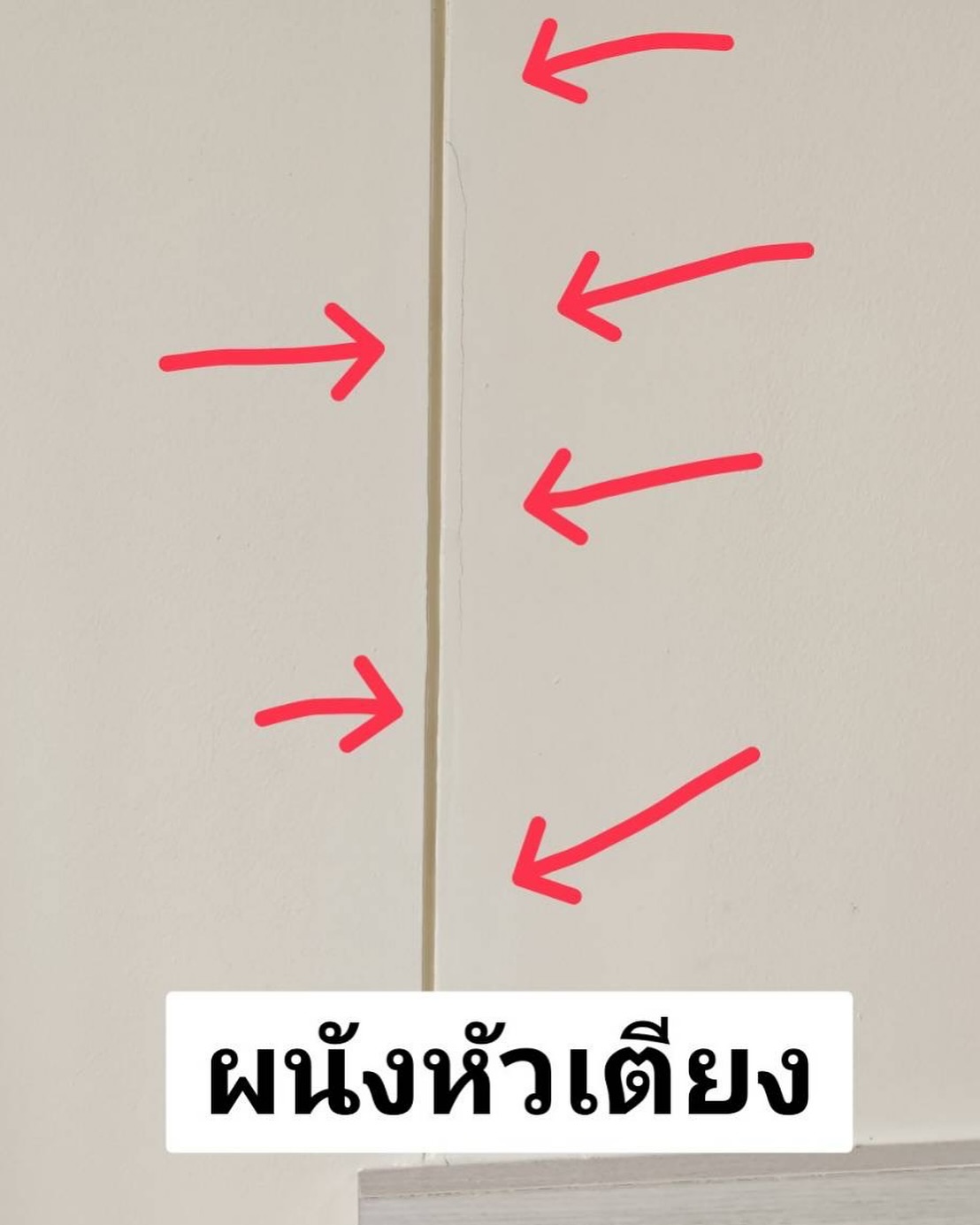อ้วน - รังสิต ศิรนานนท์