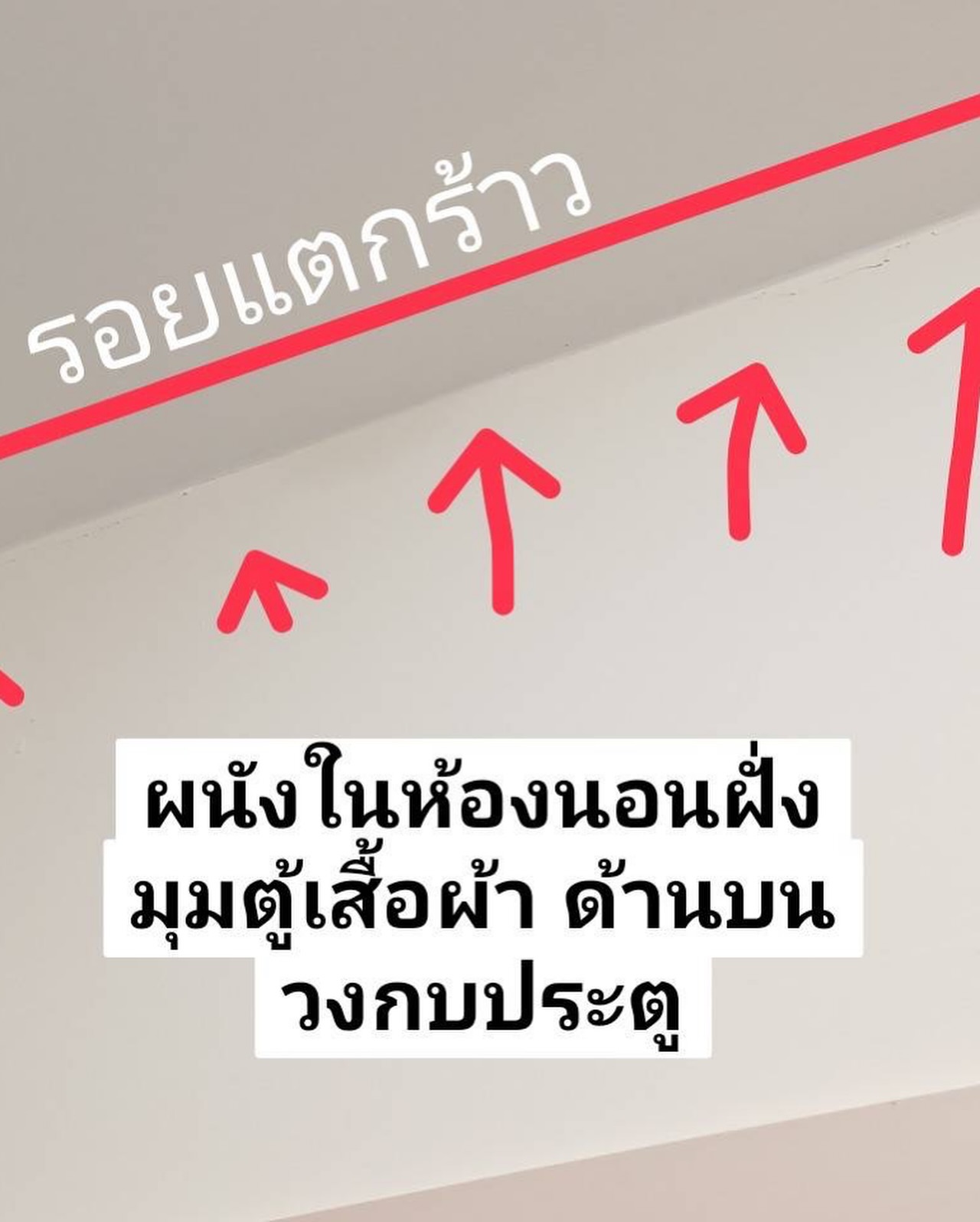 อ้วน - รังสิต ศิรนานนท์