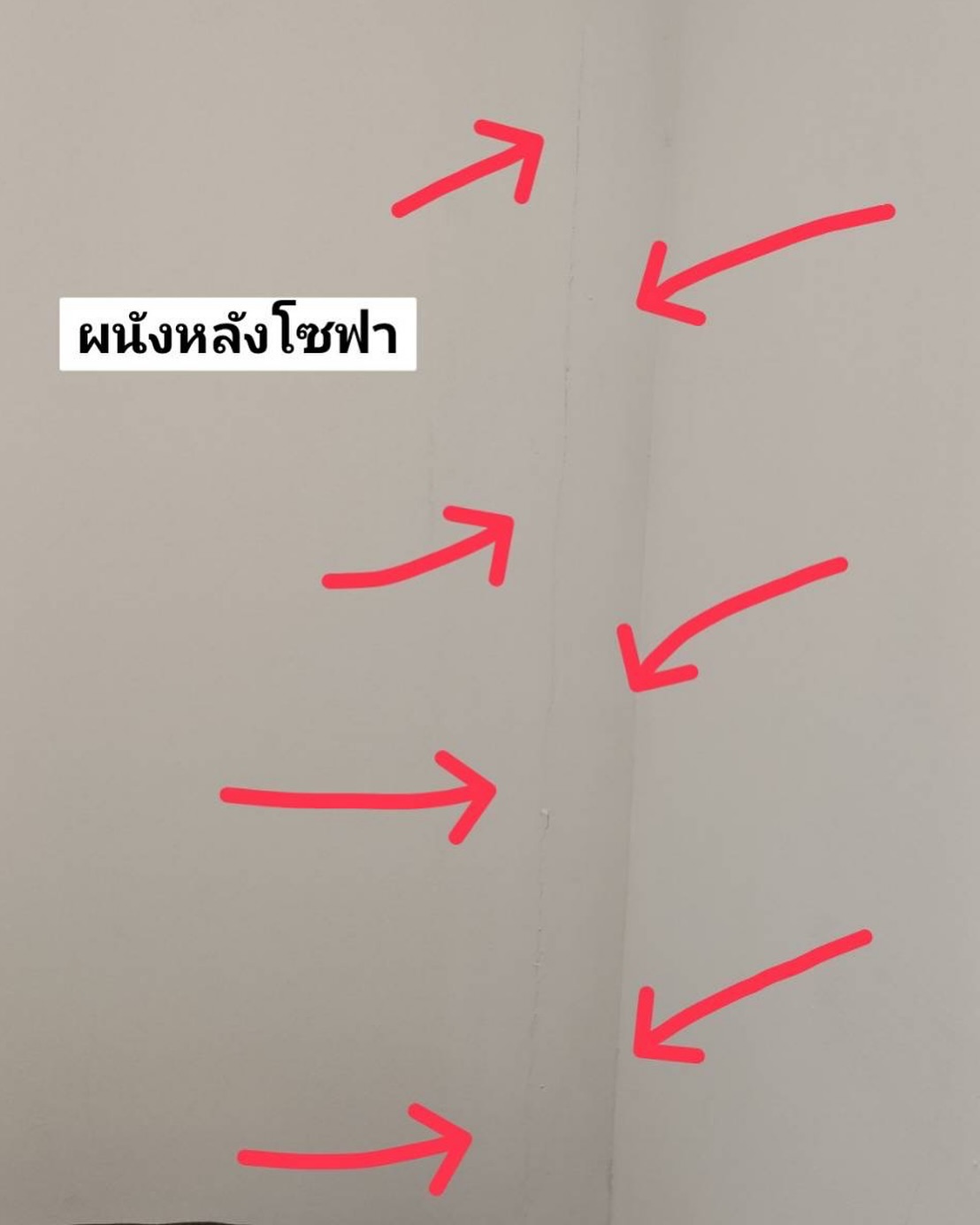 อ้วน - รังสิต ศิรนานนท์