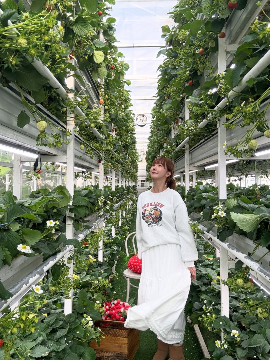 อ้วน - รังสิต ศิรนานนท์