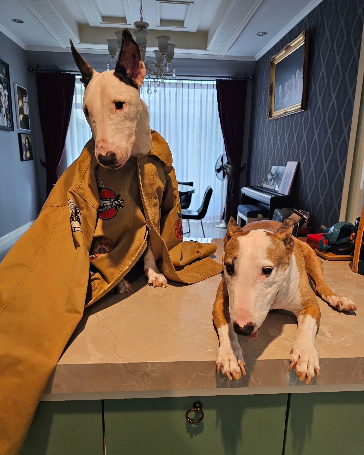 หนึ่ง - อภิวัฒน์ พงษ์วาท