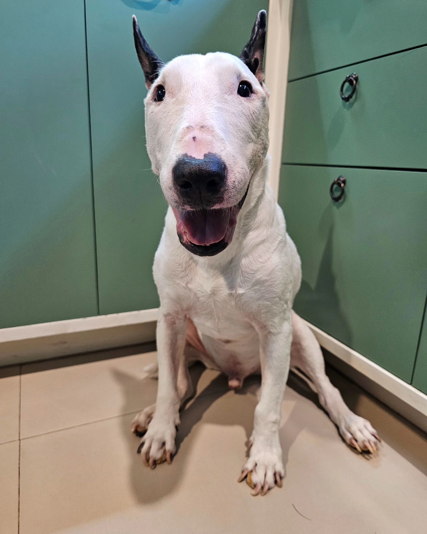 หนึ่ง - อภิวัฒน์ พงษ์วาท