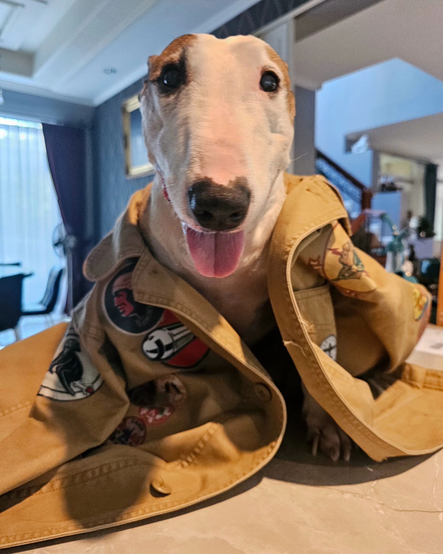 หนึ่ง - อภิวัฒน์ พงษ์วาท