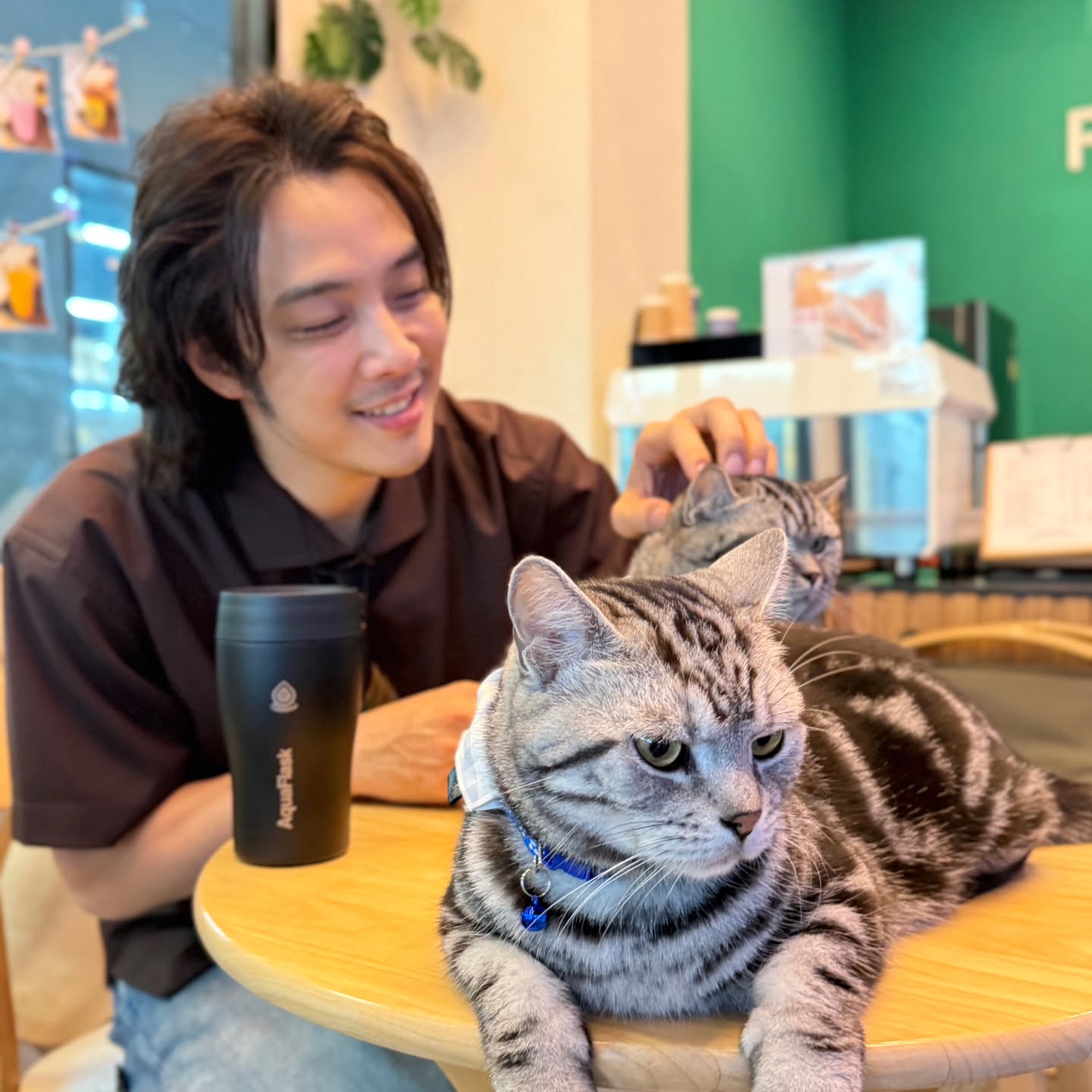 หนึ่ง - อภิวัฒน์ พงษ์วาท
