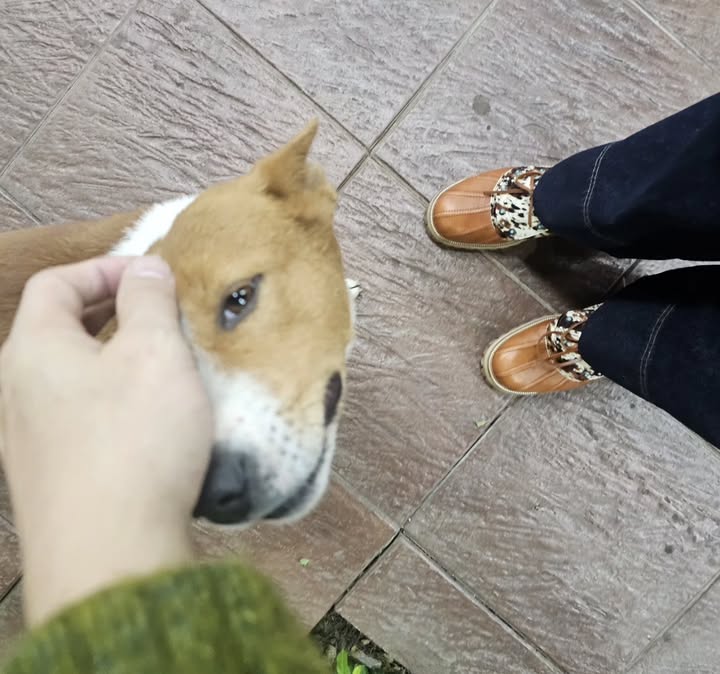 หนึ่ง - อภิวัฒน์ พงษ์วาท