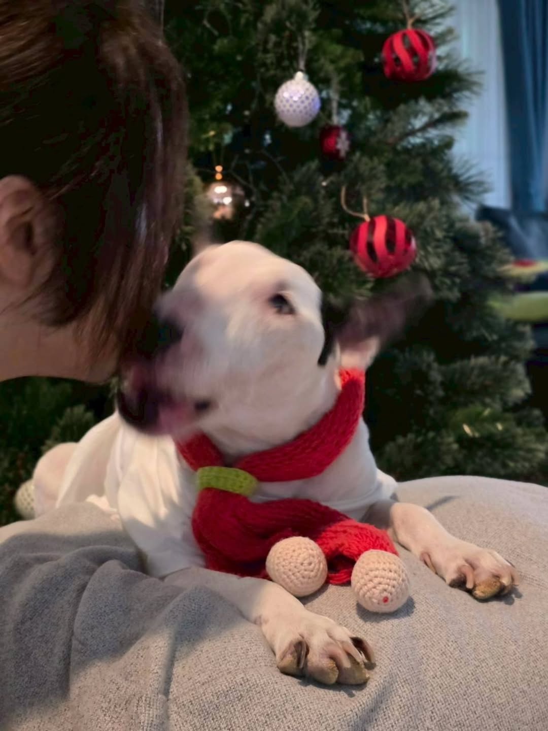 หนึ่ง - อภิวัฒน์ พงษ์วาท