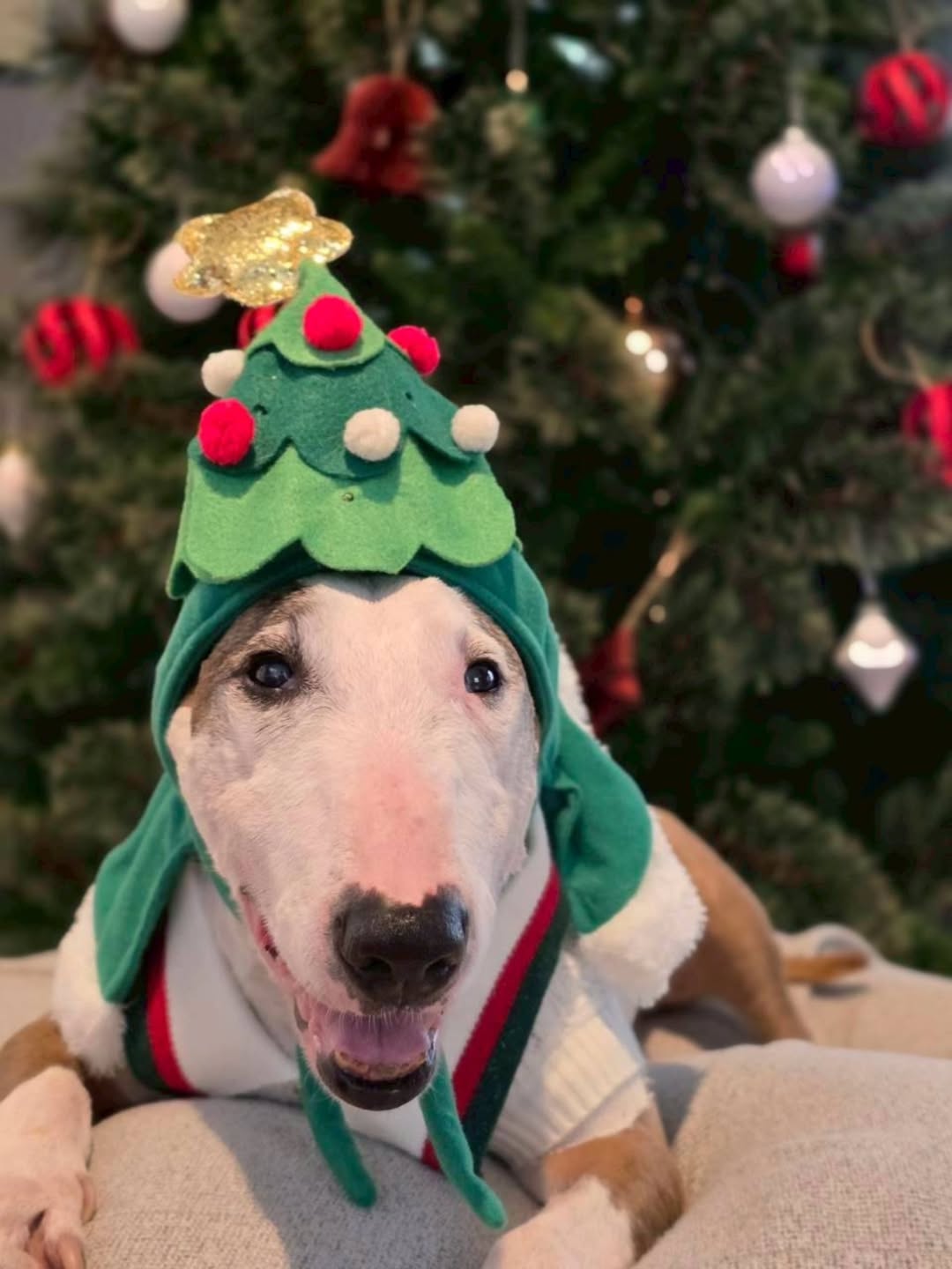 หนึ่ง - อภิวัฒน์ พงษ์วาท