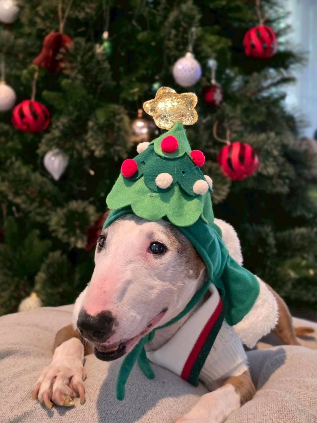 หนึ่ง - อภิวัฒน์ พงษ์วาท