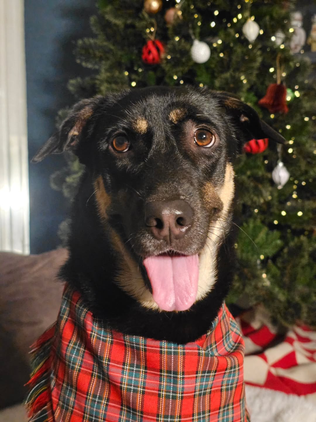 หนึ่ง - อภิวัฒน์ พงษ์วาท