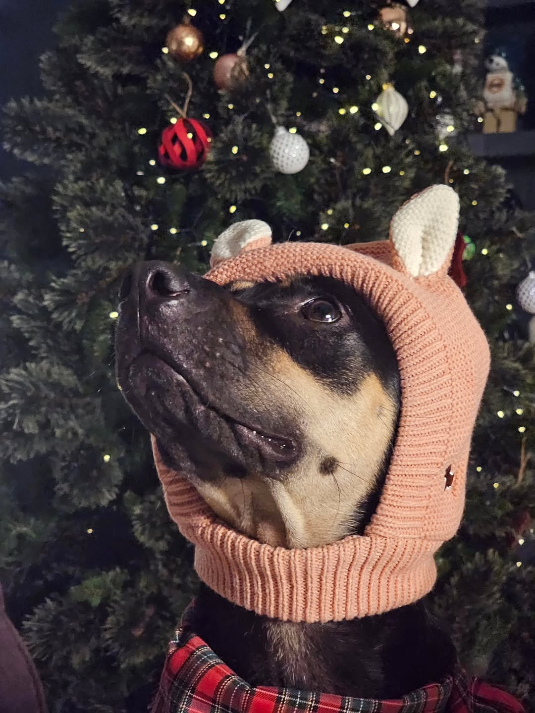 หนึ่ง - อภิวัฒน์ พงษ์วาท