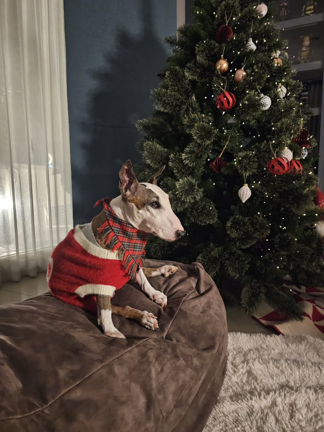 หนึ่ง - อภิวัฒน์ พงษ์วาท