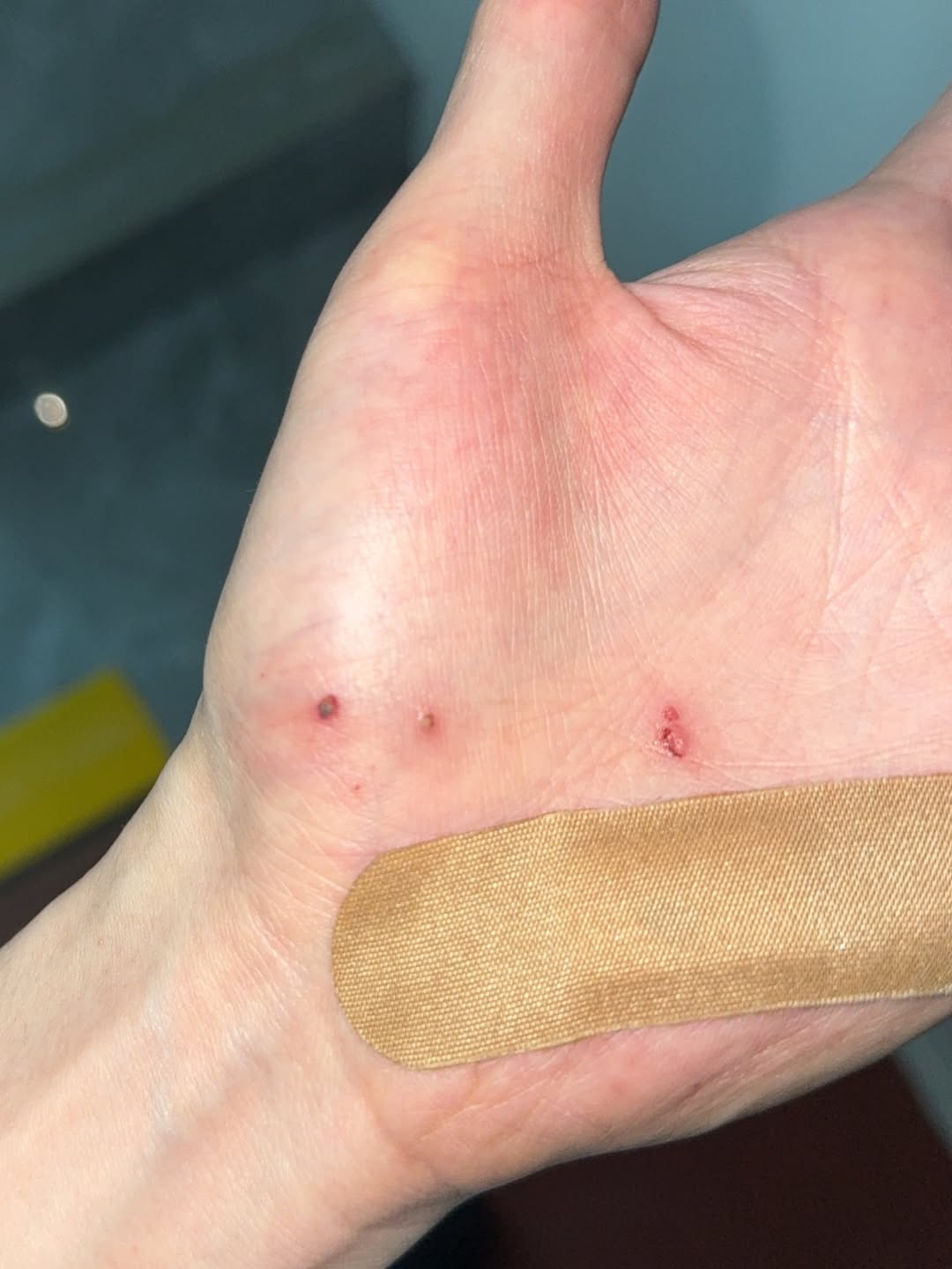 เจมส์ - ศุภมงคล วงศ์วิสุทธิ์