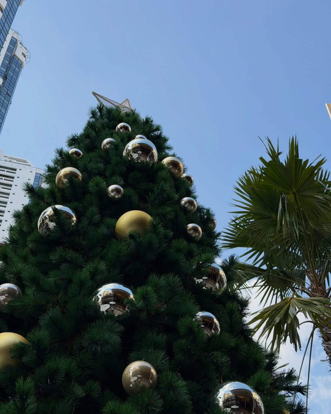 เจมส์ - ศุภมงคล วงศ์วิสุทธิ์