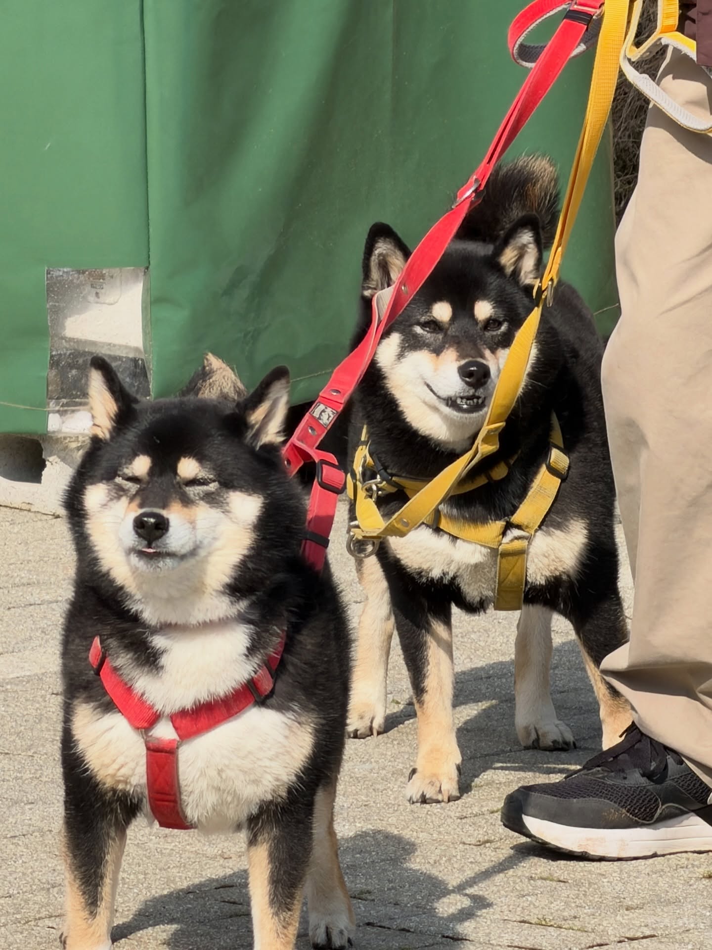 เจมส์ - ศุภมงคล วงศ์วิสุทธิ์