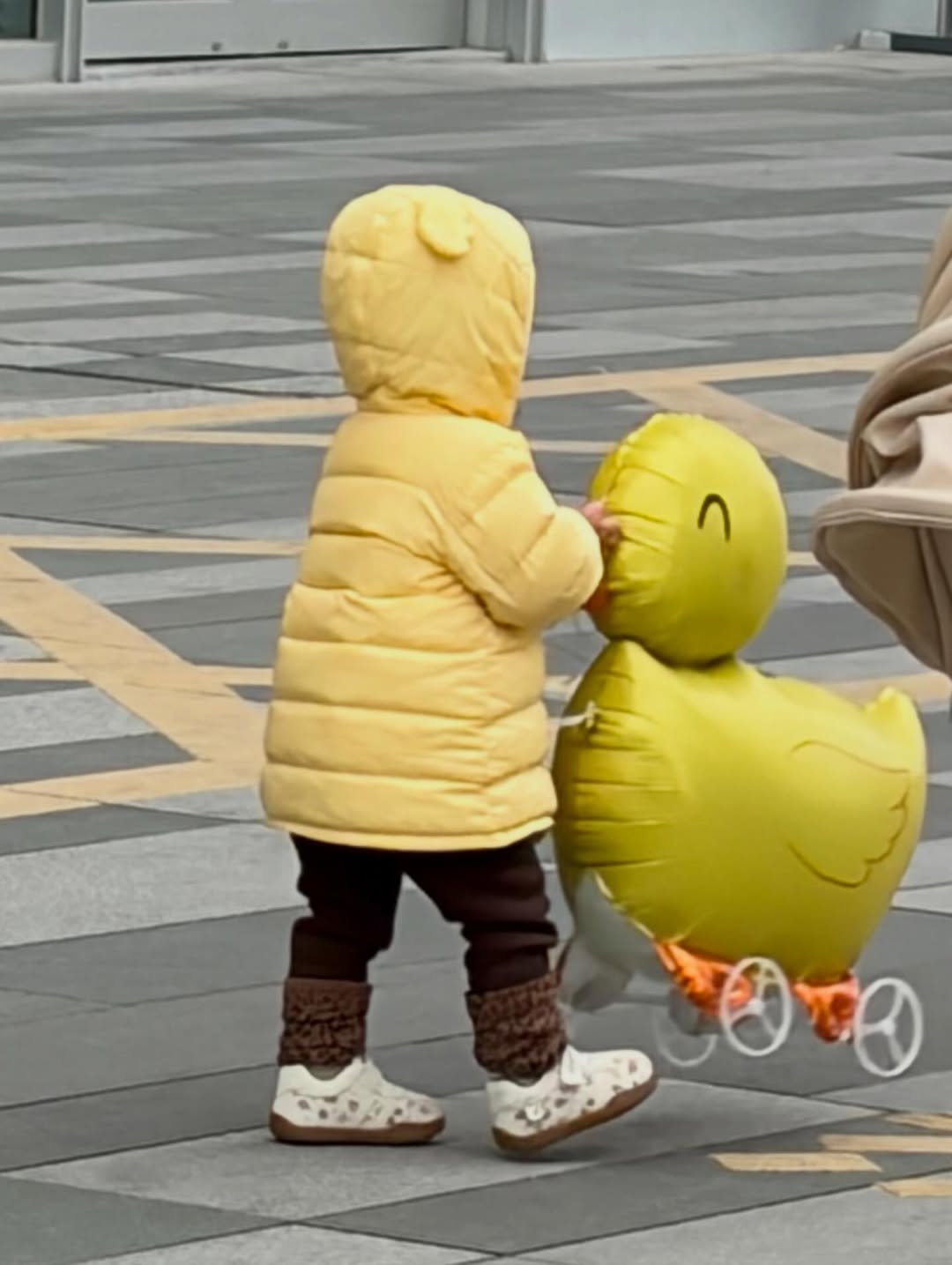 จูน - ณัณณิริณ วโรกรวัชรคุณ