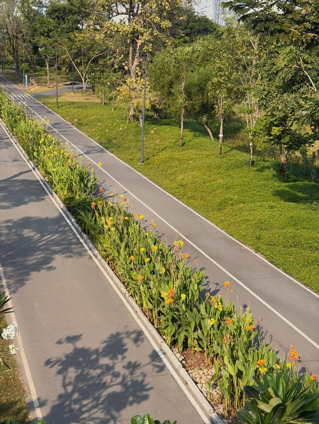 จูน - ณัณณิริณ วโรกรวัชรคุณ