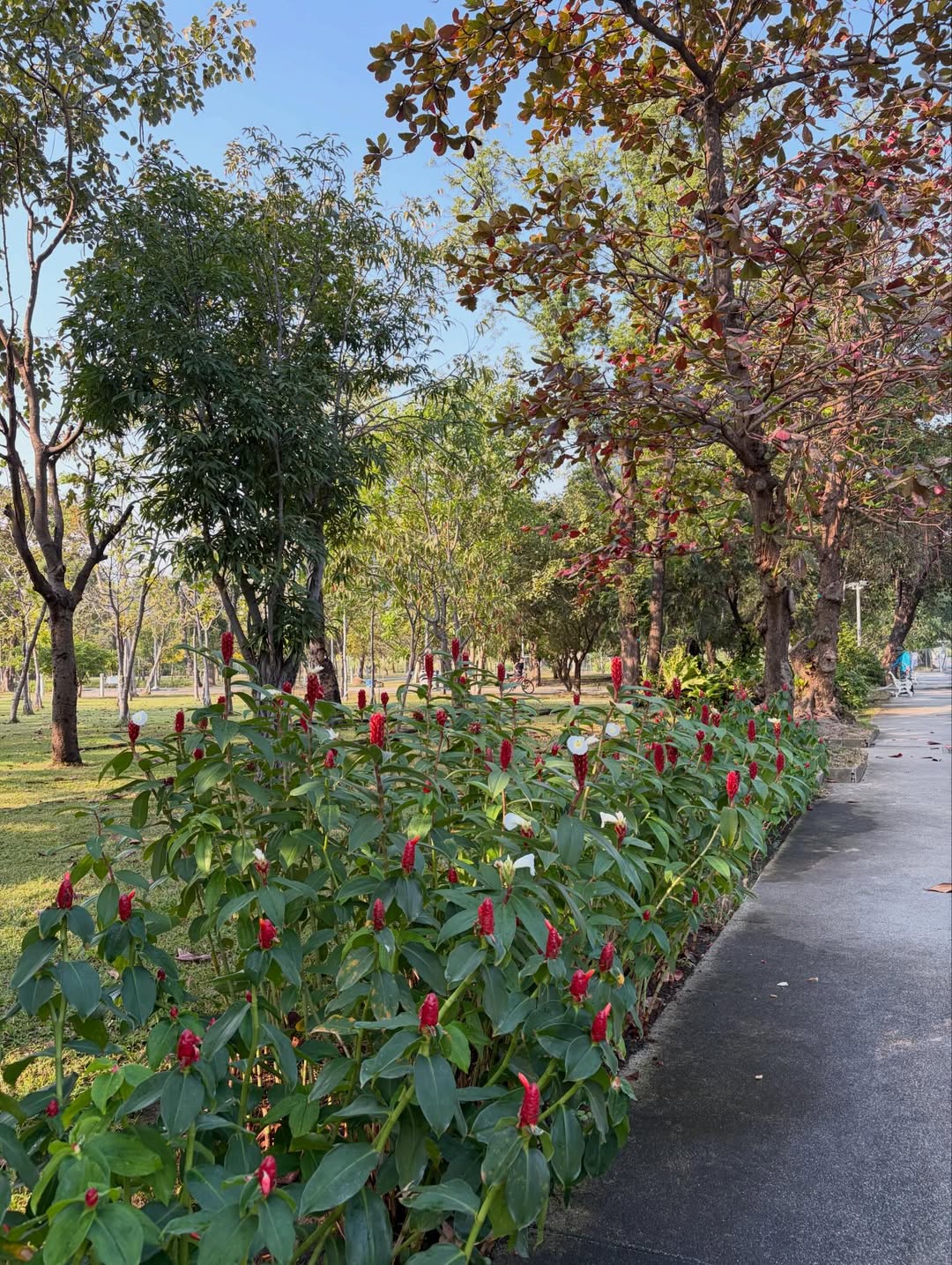 จูน - ณัณณิริณ วโรกรวัชรคุณ