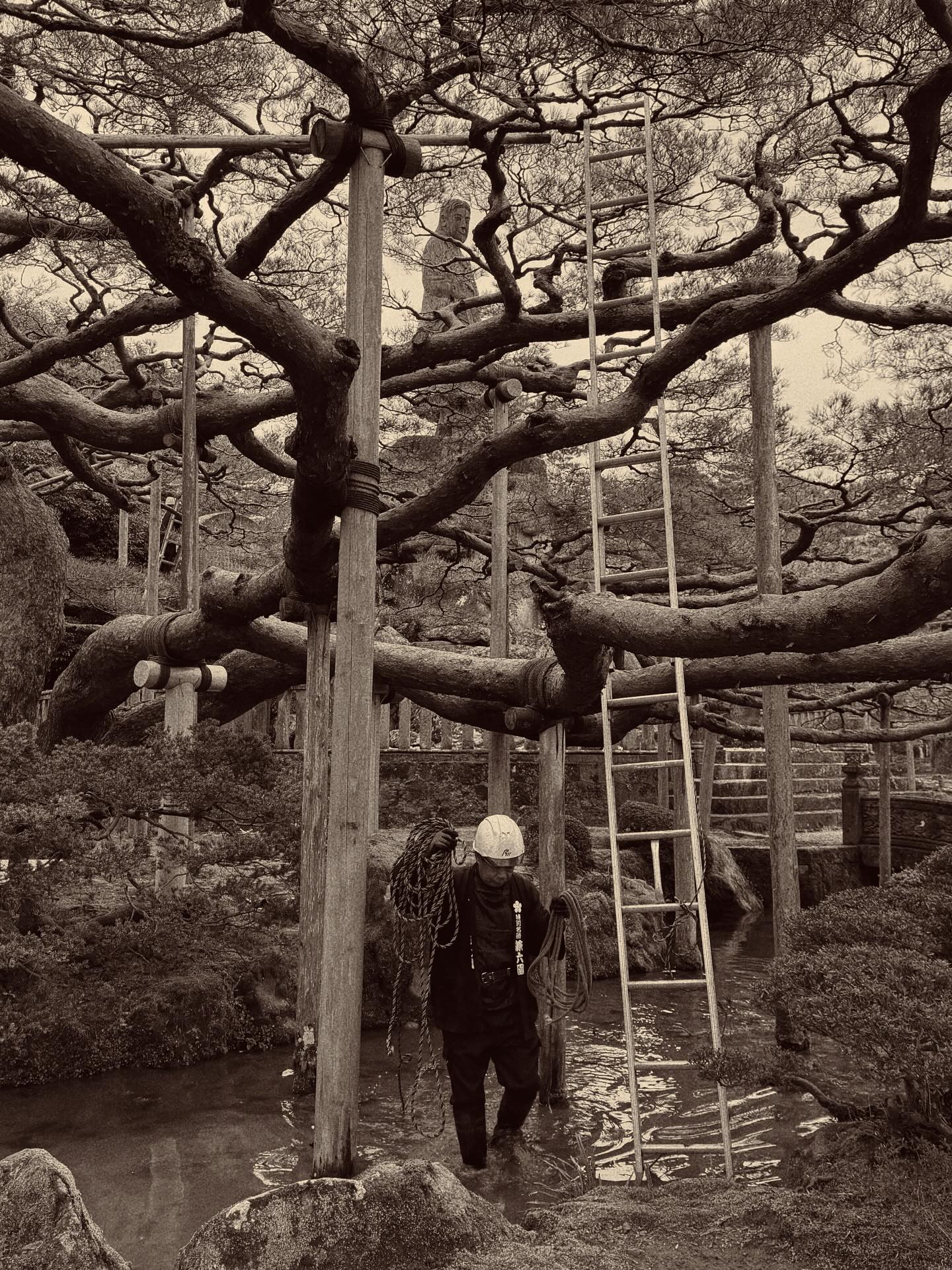 จูน - ณัณณิริณ วโรกรวัชรคุณ