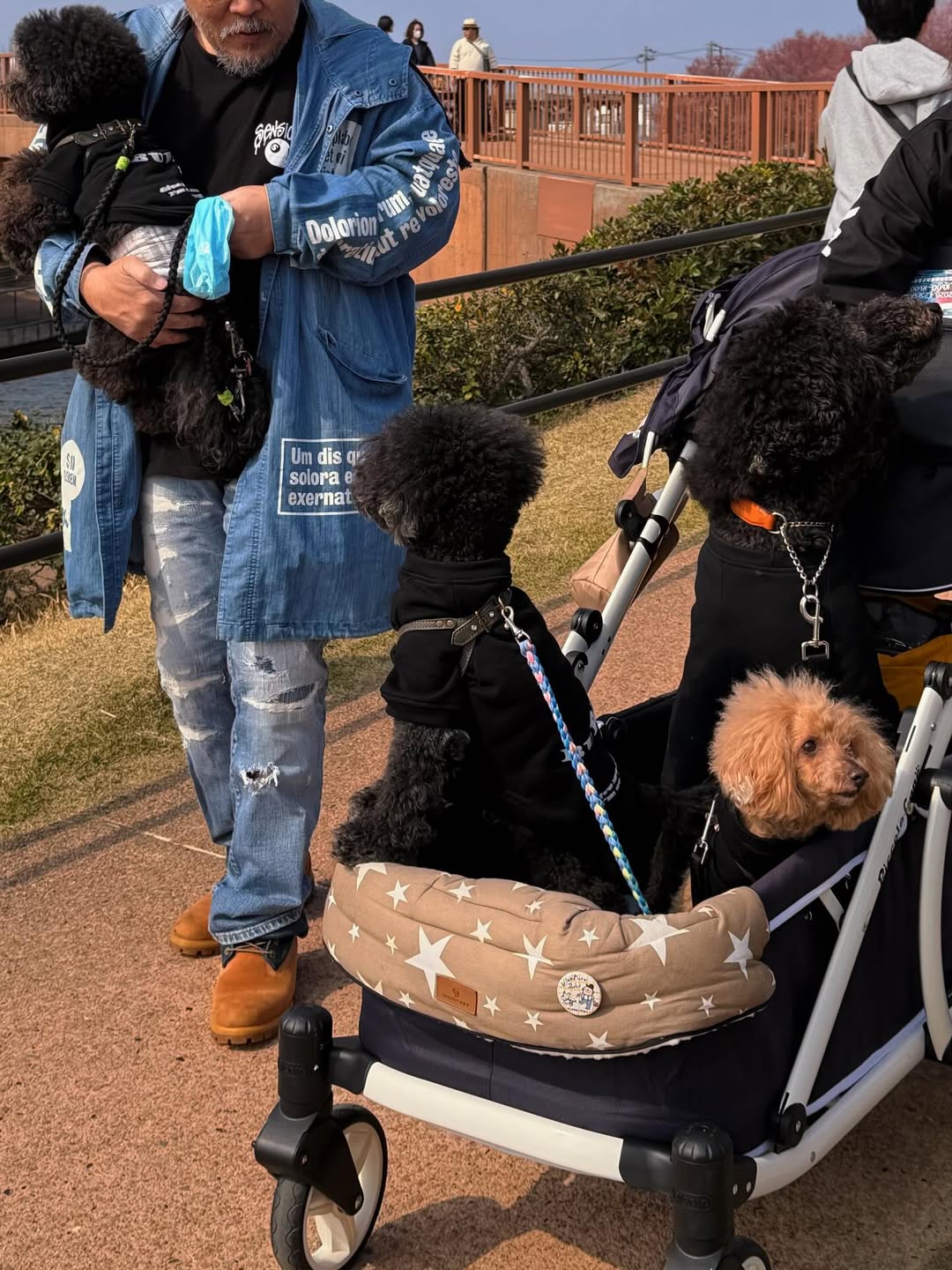 จูน - ณัณณิริณ วโรกรวัชรคุณ