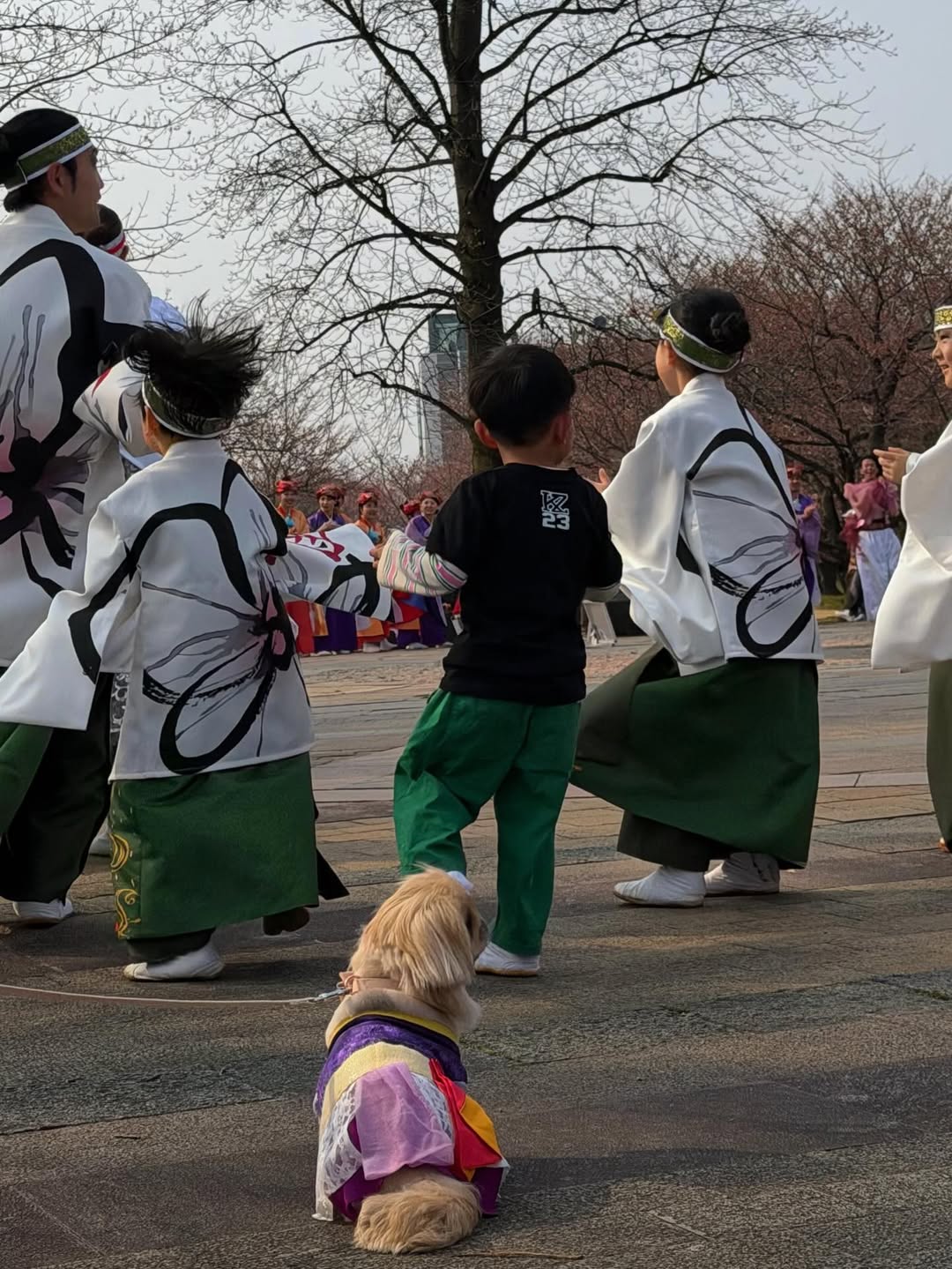 จูน - ณัณณิริณ วโรกรวัชรคุณ
