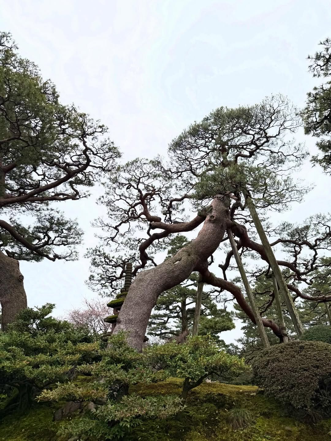 จูน - ณัณณิริณ วโรกรวัชรคุณ