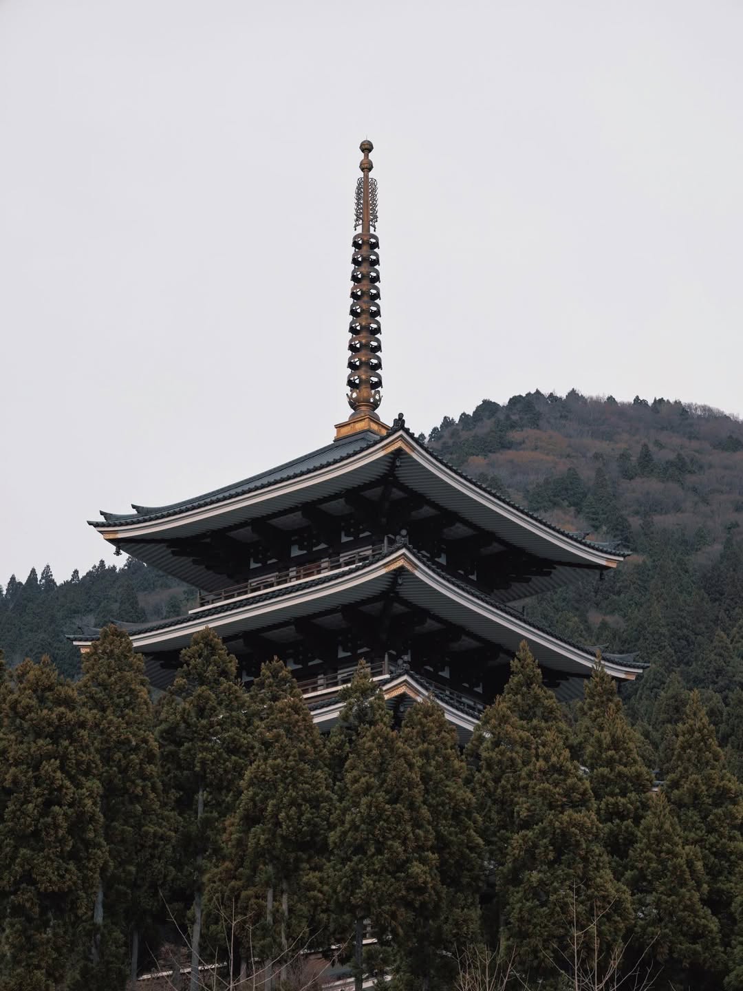 จูน - ณัณณิริณ วโรกรวัชรคุณ